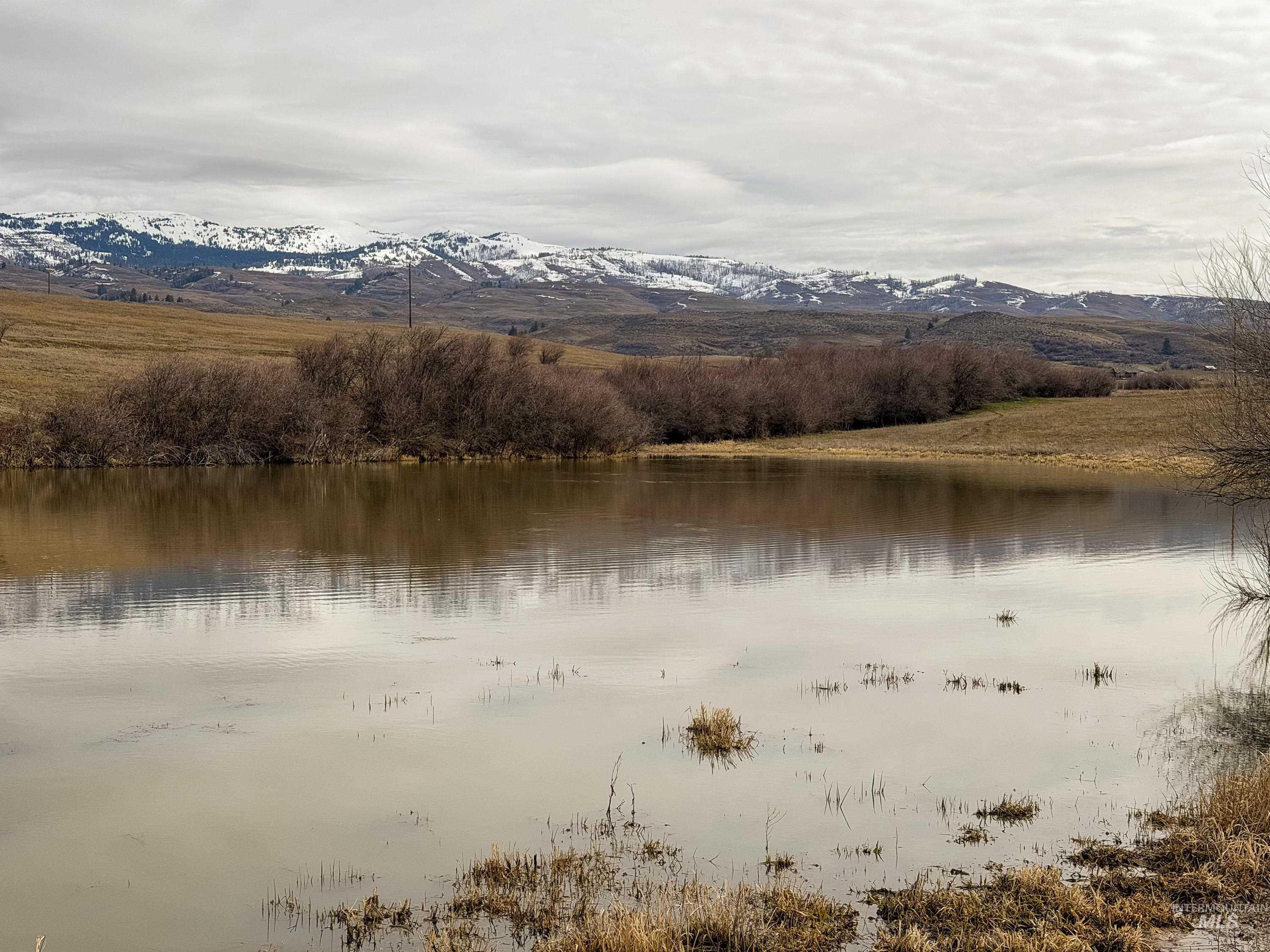 1788 HWY 95, Council, Idaho 83612, 3 Bedrooms, 2 Bathrooms, Residential For Sale, Price $1,250,000,MLS 98976508