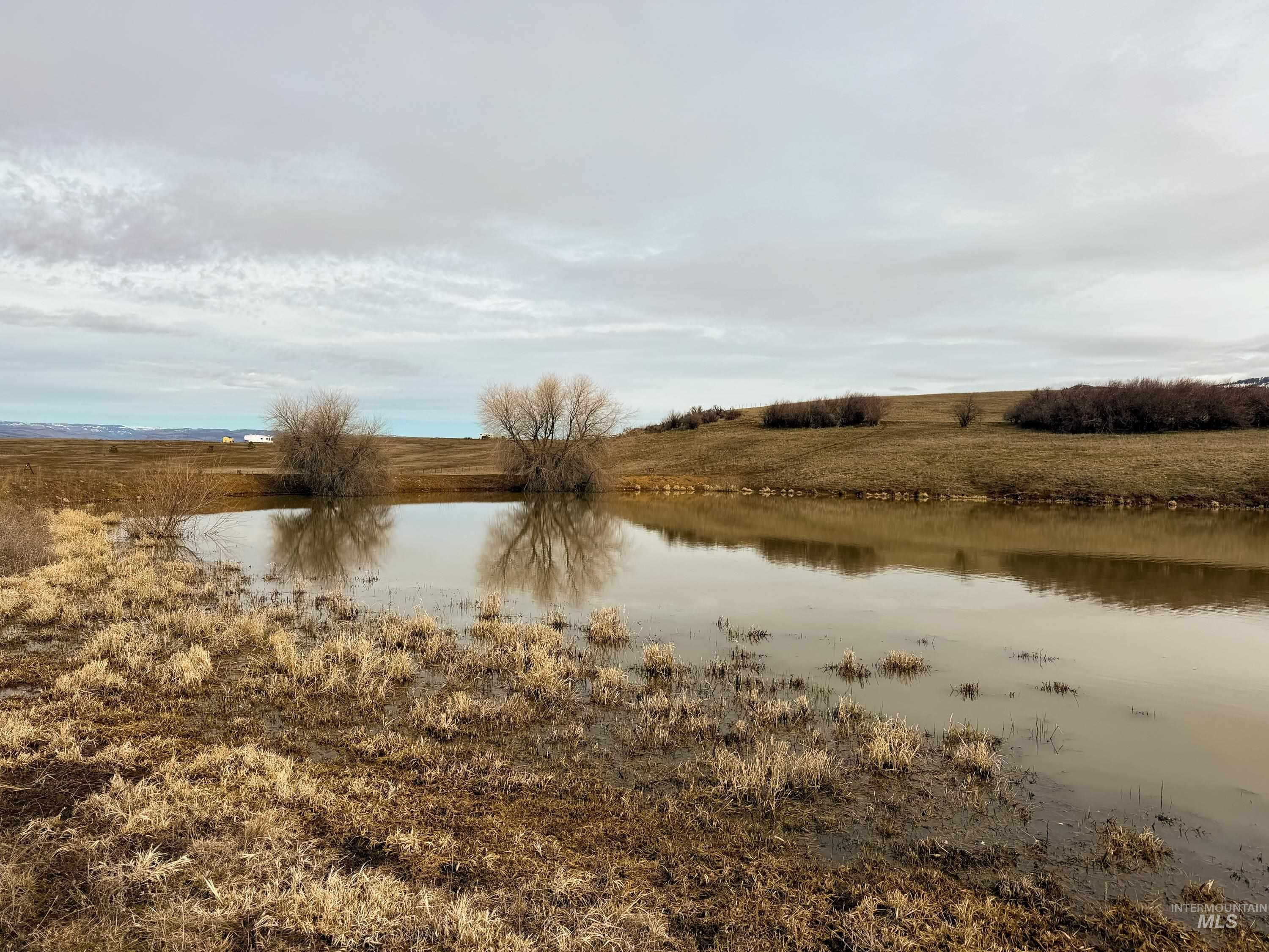 1788 HWY 95, Council, Idaho 83612, 3 Bedrooms, 2 Bathrooms, Residential For Sale, Price $1,250,000,MLS 98976508