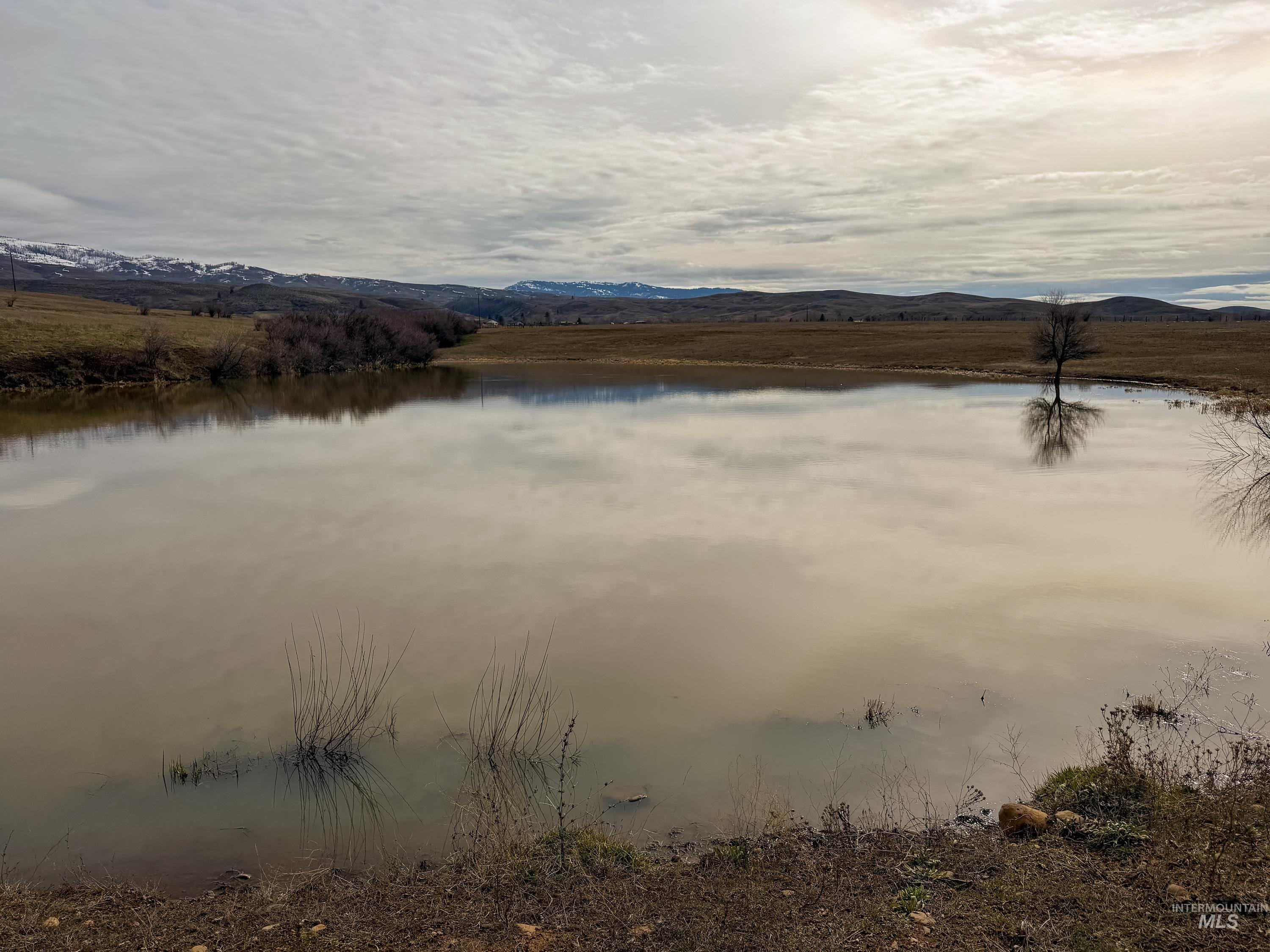 1788 HWY 95, Council, Idaho 83612, 3 Bedrooms, 2 Bathrooms, Residential For Sale, Price $1,250,000,MLS 98976508