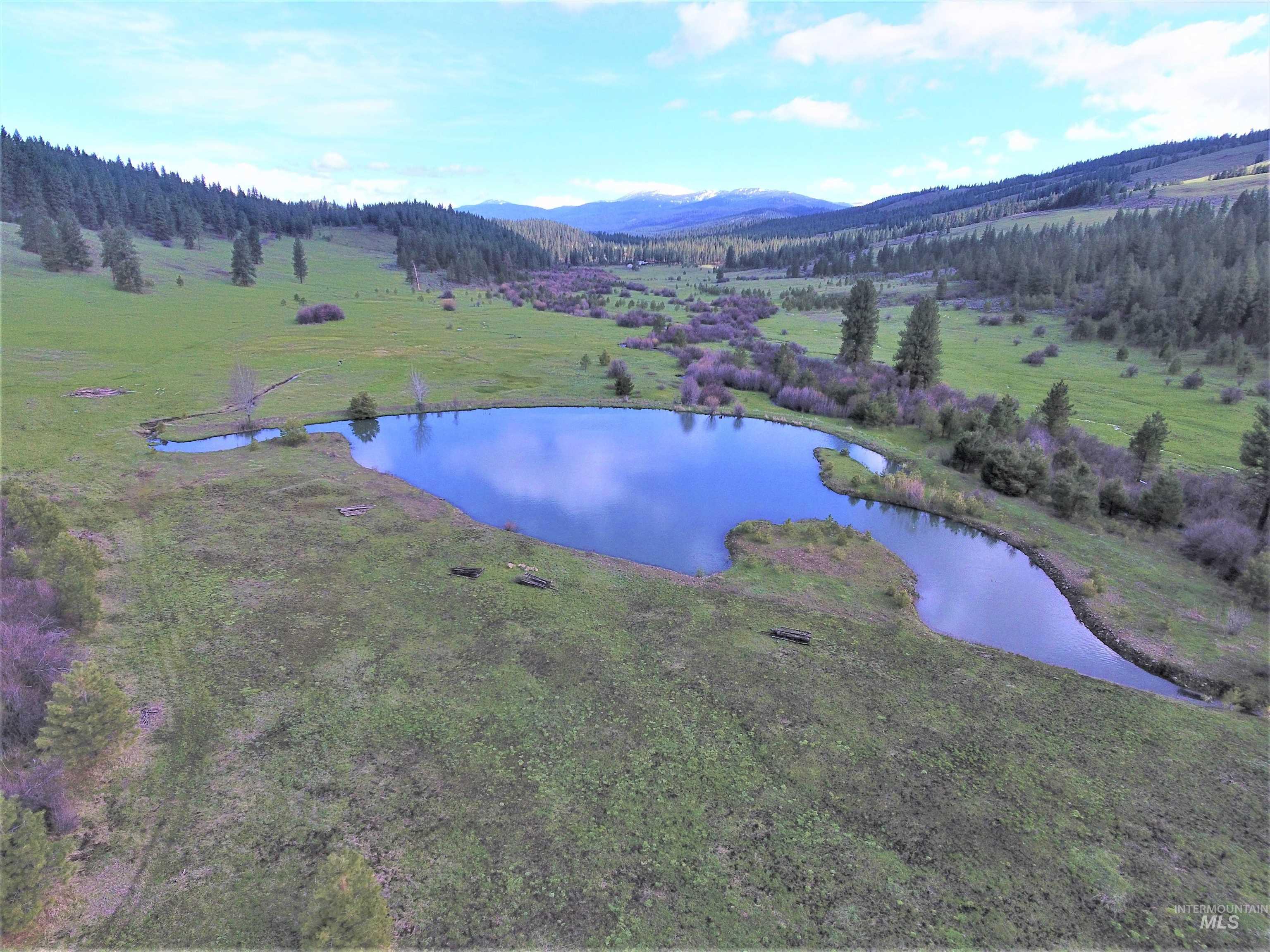 2950 & 3000 Fish Lake Road, New Meadows, Idaho 83654, 2 Bedrooms, 2 Bathrooms, Residential For Sale, Price $3,898,000,MLS 98976517