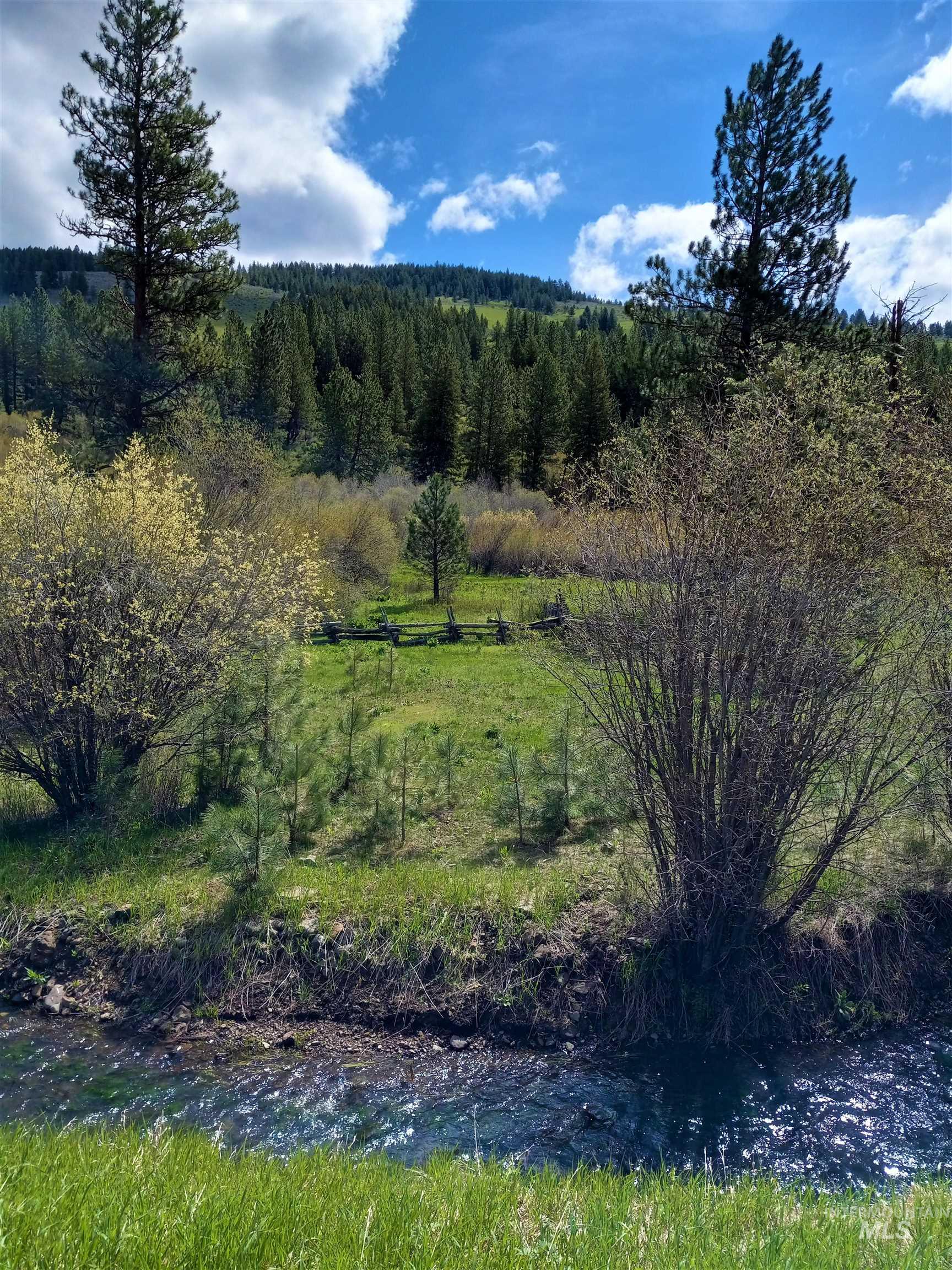 2950 & 3000 Fish Lake Road, New Meadows, Idaho 83654, 2 Bedrooms, 2 Bathrooms, Residential For Sale, Price $3,898,000,MLS 98976517