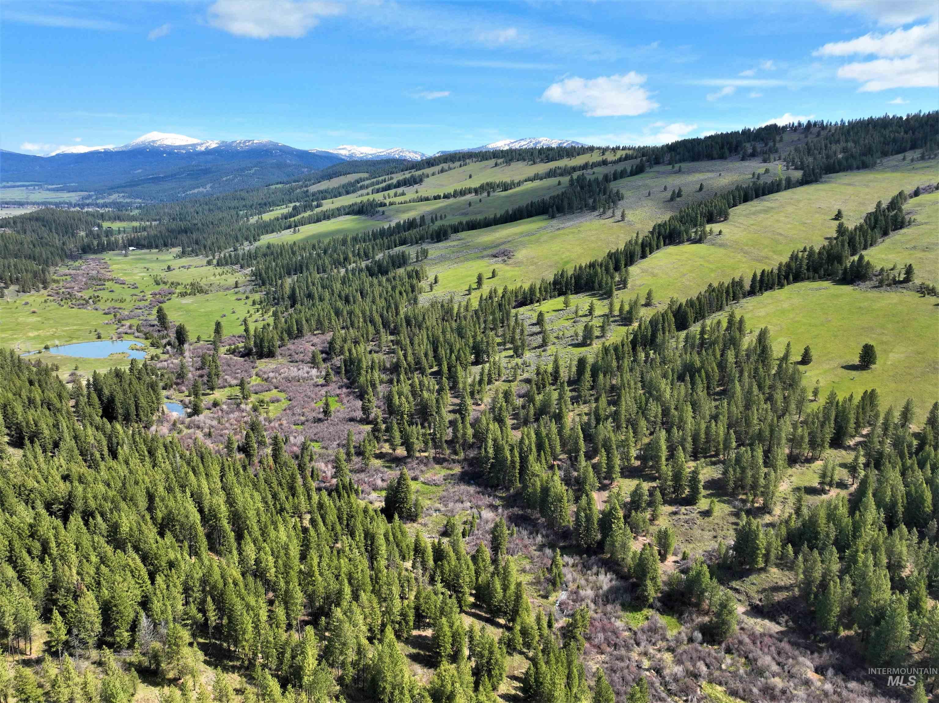 2950 & 3000 Fish Lake Road, New Meadows, Idaho 83654, 2 Bedrooms, 2 Bathrooms, Residential For Sale, Price $3,898,000,MLS 98976517