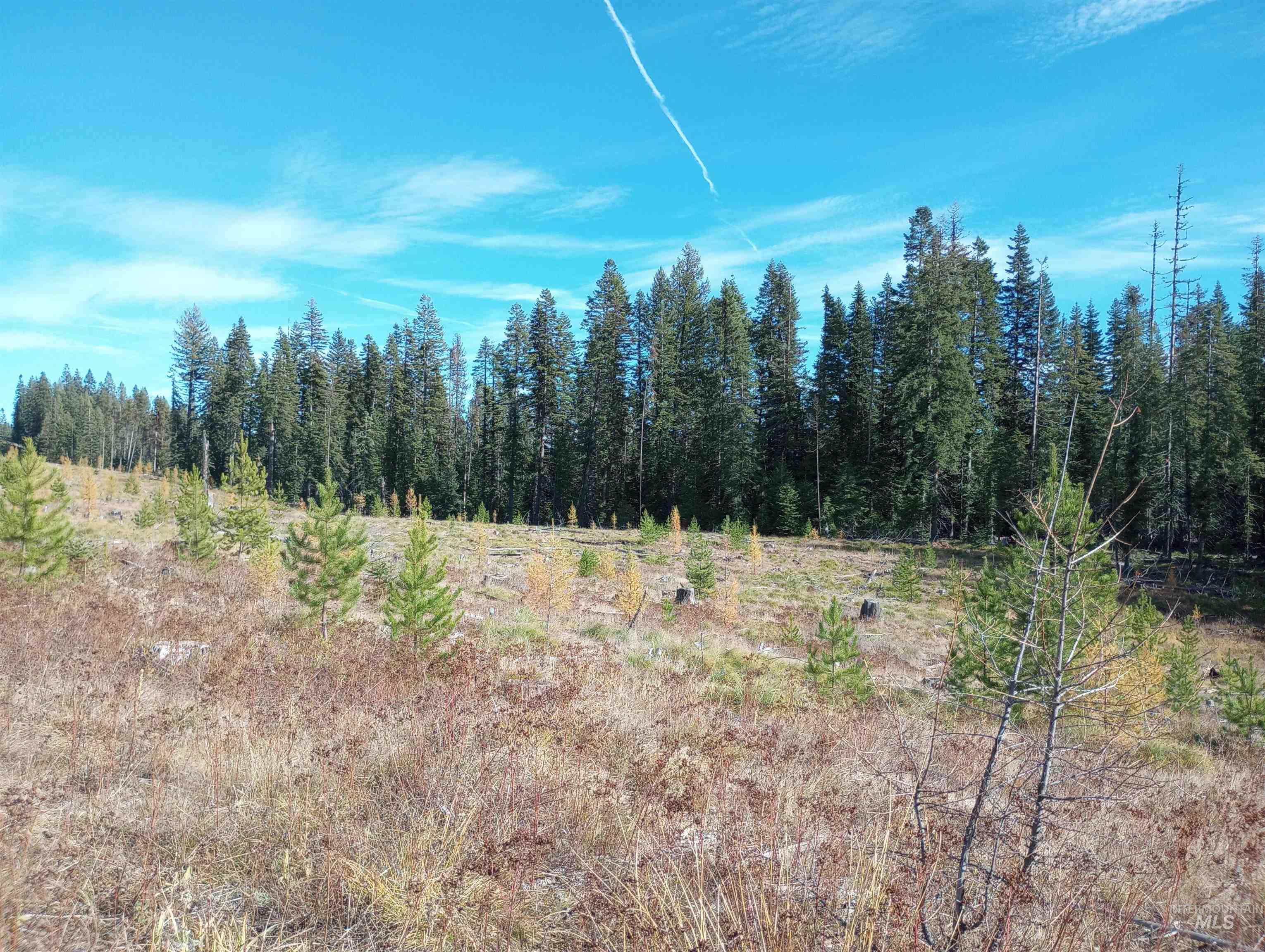 TBD French Gulch Parcel 3, Elk City, Idaho 83525, Land For Sale, Price $269,000, 98976531