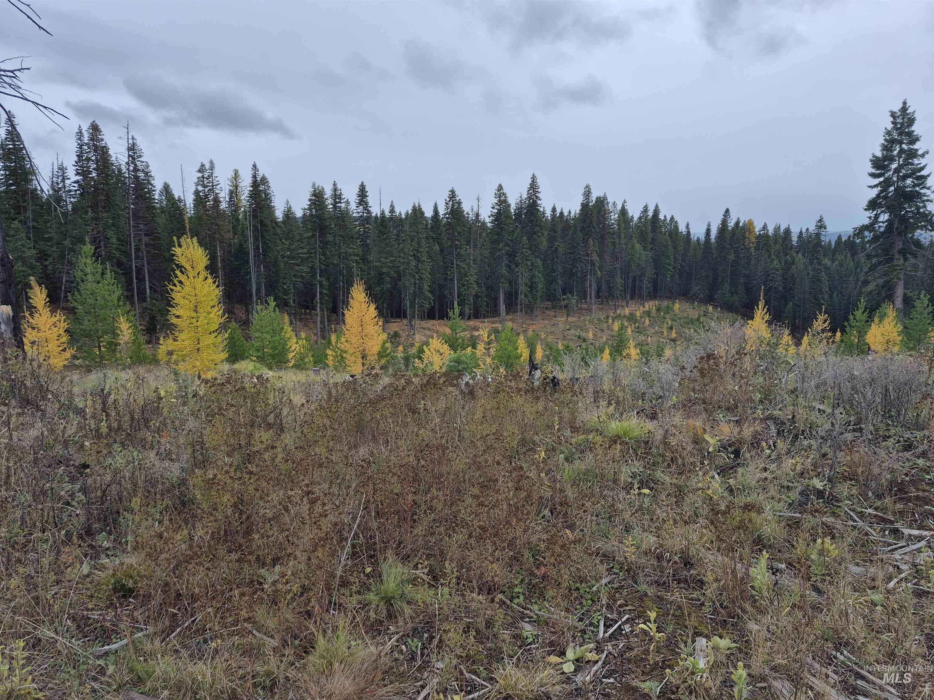 TBD French Gulch Parcel 3, Elk City, Idaho 83525, Land For Sale, Price $269,000, 98976531