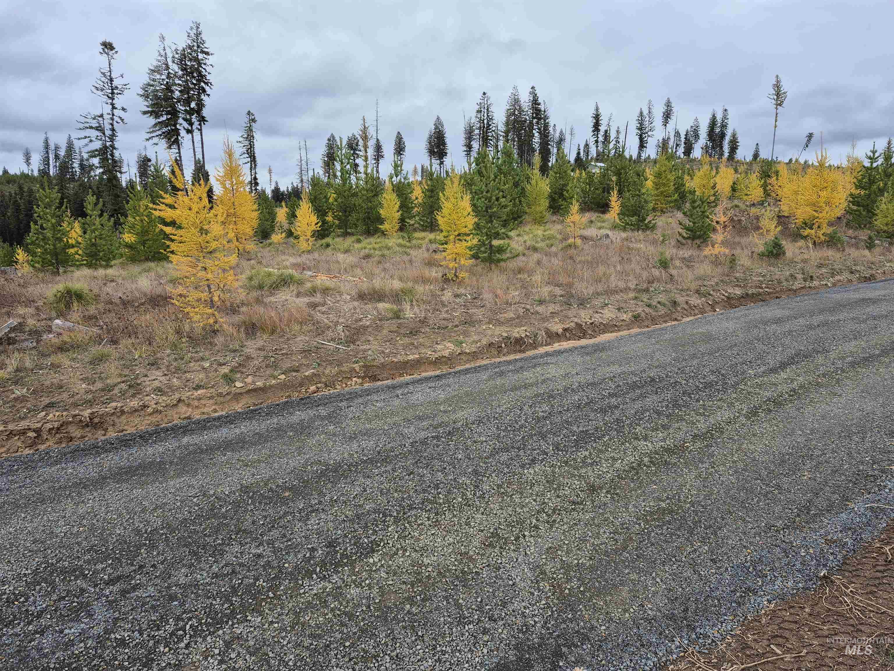 TBD French Gulch Parcel 3, Elk City, Idaho 83525, Land For Sale, Price $269,000, 98976531