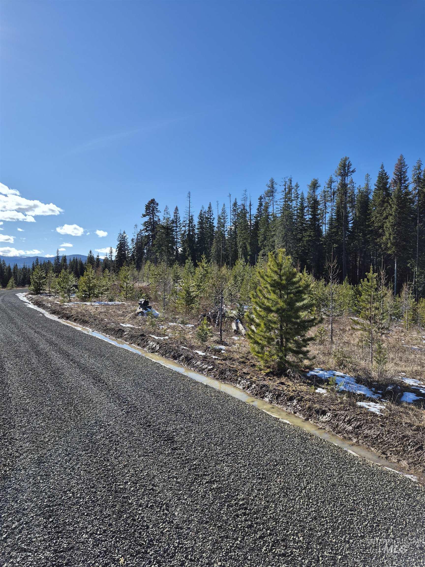 TBD French Gulch Parcel 3, Elk City, Idaho 83525, Land For Sale, Price $269,000, 98976531