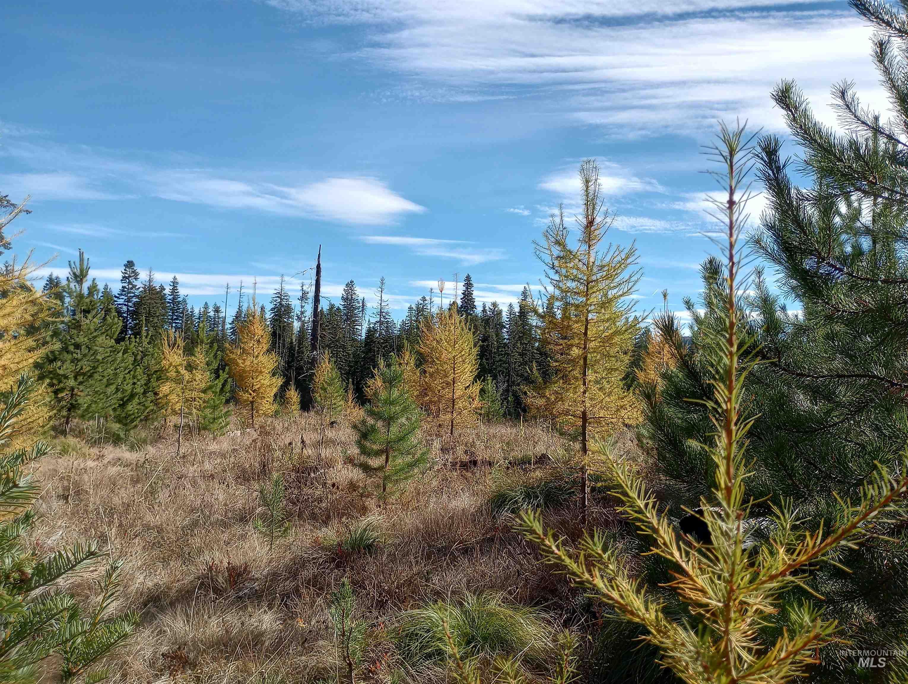 TBD French Gulch Parcel 3, Elk City, Idaho 83525, Land For Sale, Price $269,000, 98976531