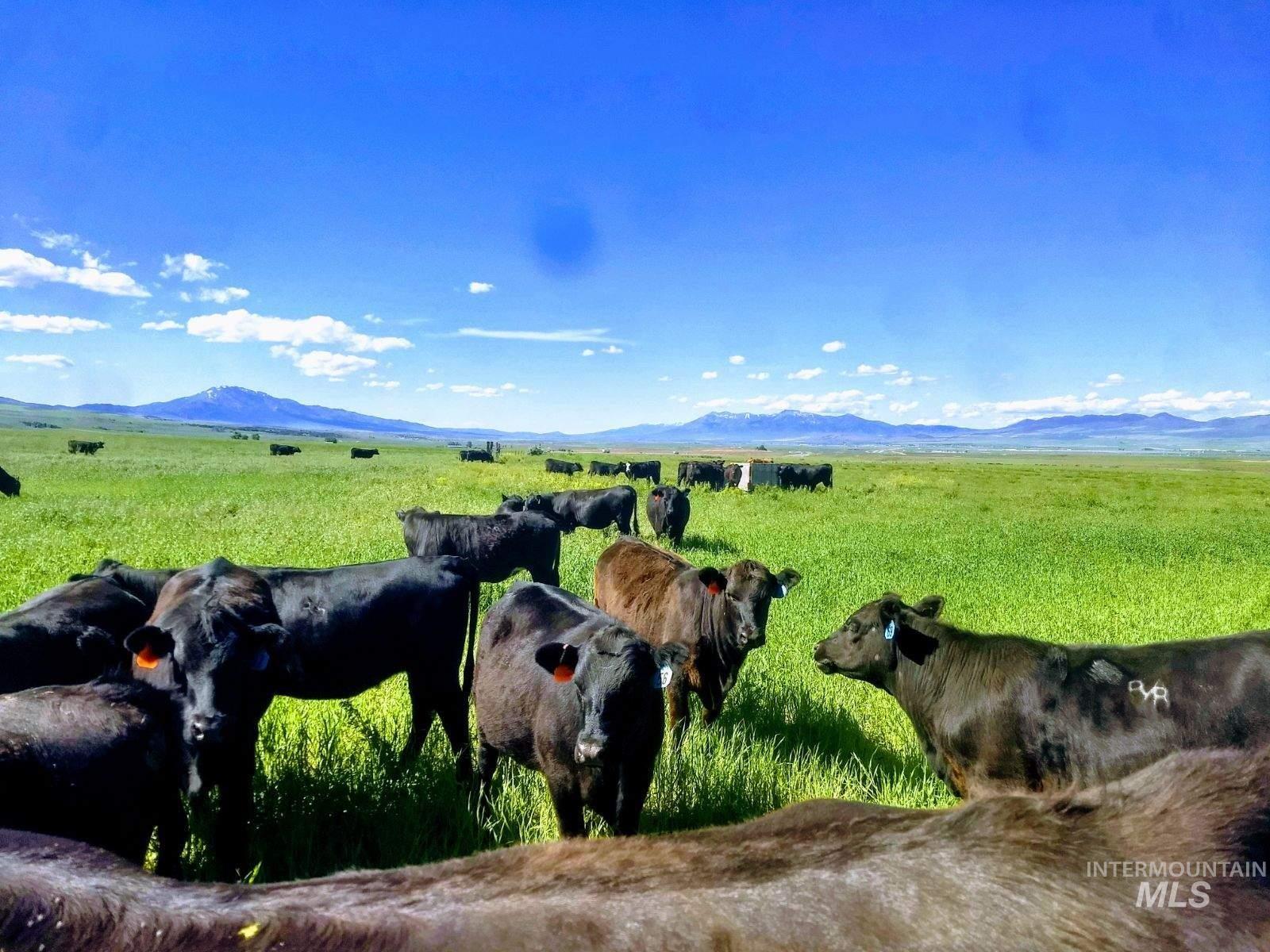 TBD S. Old Malad Hwy, Downey, Idaho 83234, Land For Sale, Price $399,000, 98976534