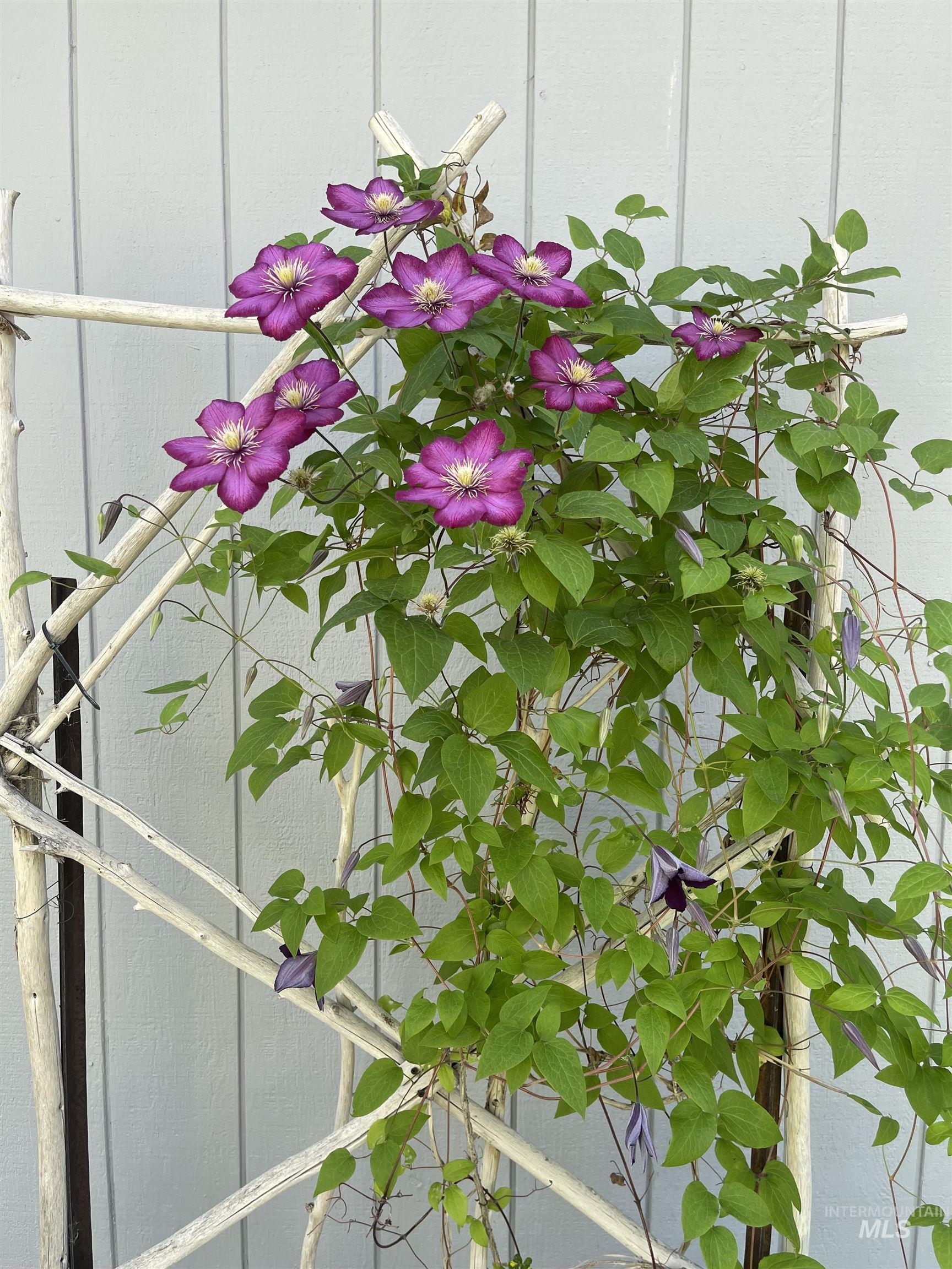 180 Bruneau, Hagerman, Idaho 83332, 3 Bedrooms, 1 Bathroom, Residential For Sale, Price $230,000, 98976535