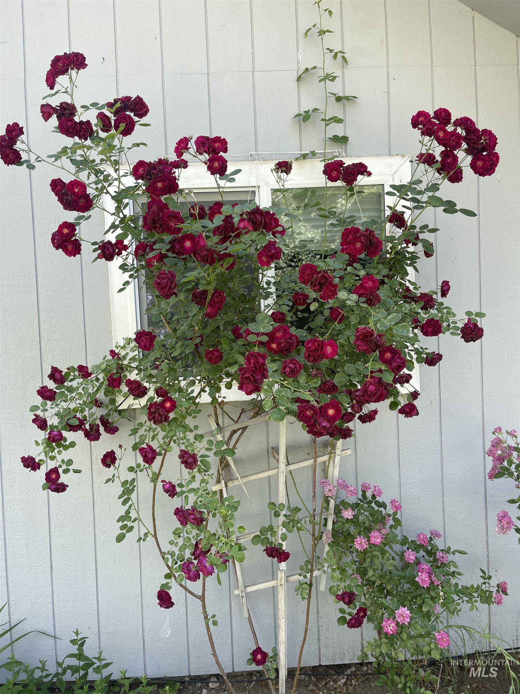 180 Bruneau, Hagerman, Idaho 83332, 3 Bedrooms, 1 Bathroom, Residential For Sale, Price $230,000, 98976535