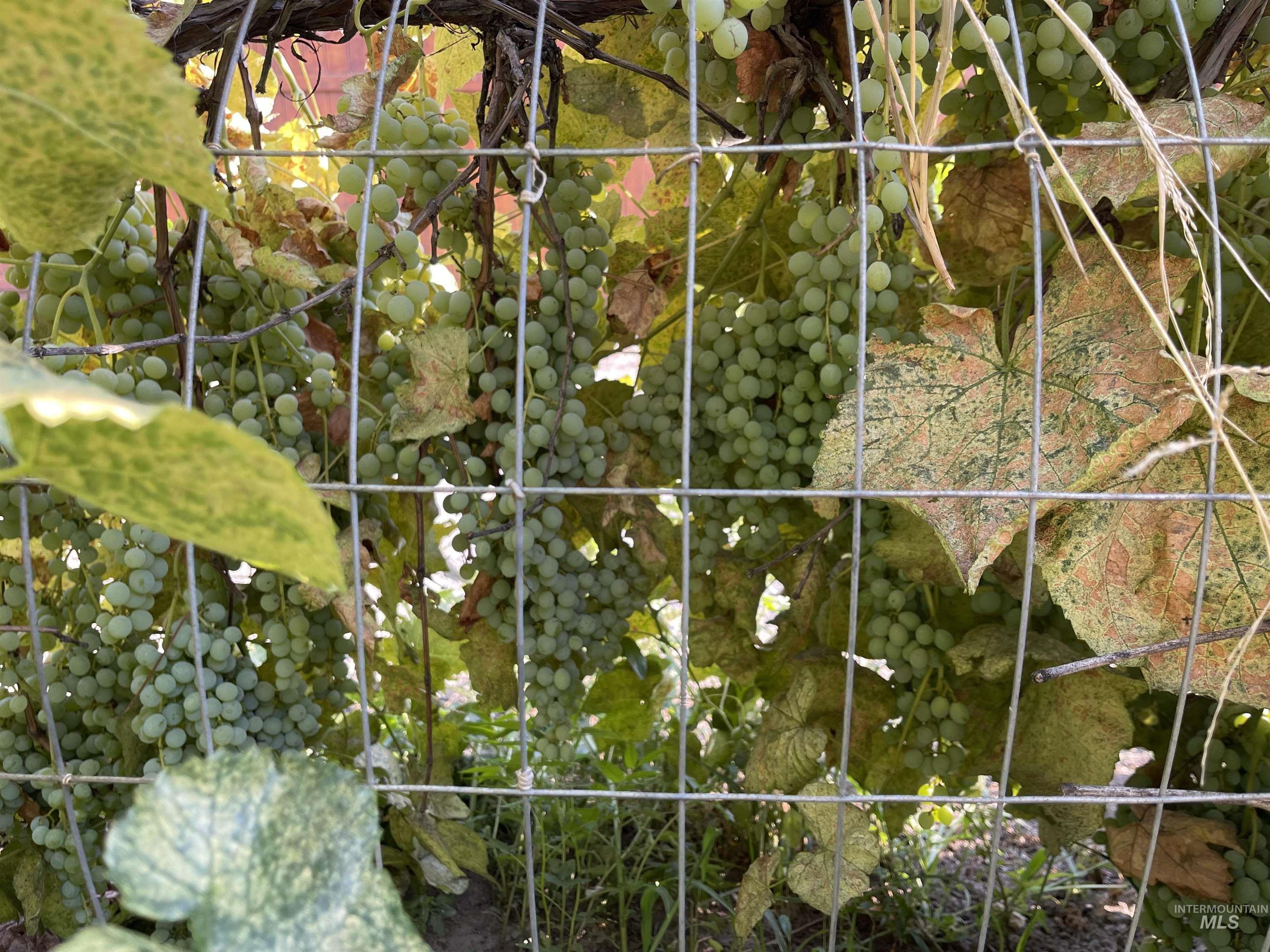 180 Bruneau, Hagerman, Idaho 83332, 3 Bedrooms, 1 Bathroom, Residential For Sale, Price $230,000, 98976535