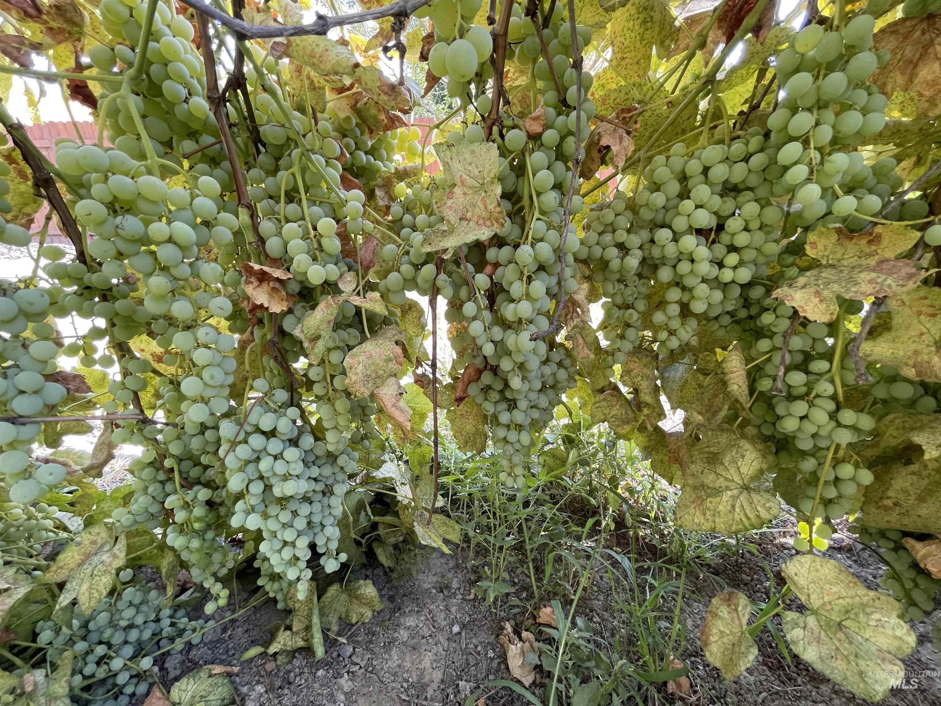 180 Bruneau, Hagerman, Idaho 83332, 3 Bedrooms, 1 Bathroom, Residential For Sale, Price $230,000, 98976535