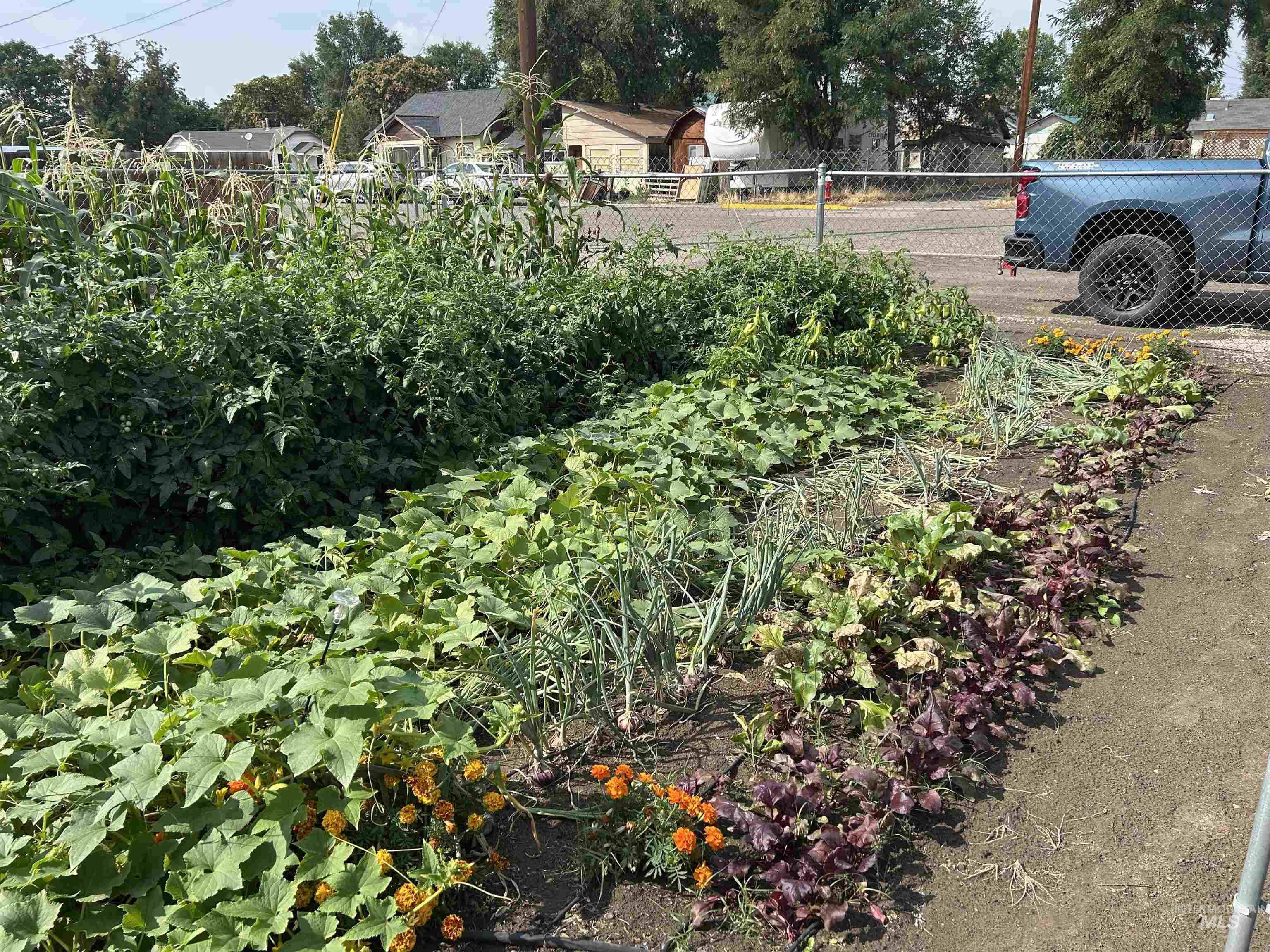 695 N Oregon Street, Ontario, Oregon 97914, 2 Bedrooms, 1 Bathroom, Residential For Sale, Price $195,000, 98976537