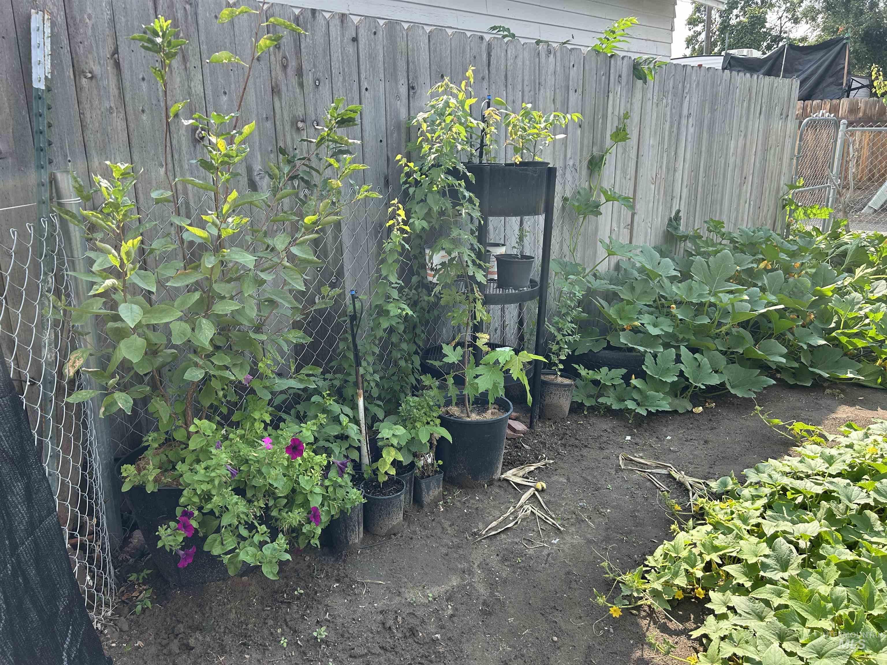 695 N Oregon Street, Ontario, Oregon 97914, 2 Bedrooms, 1 Bathroom, Residential For Sale, Price $195,000, 98976537