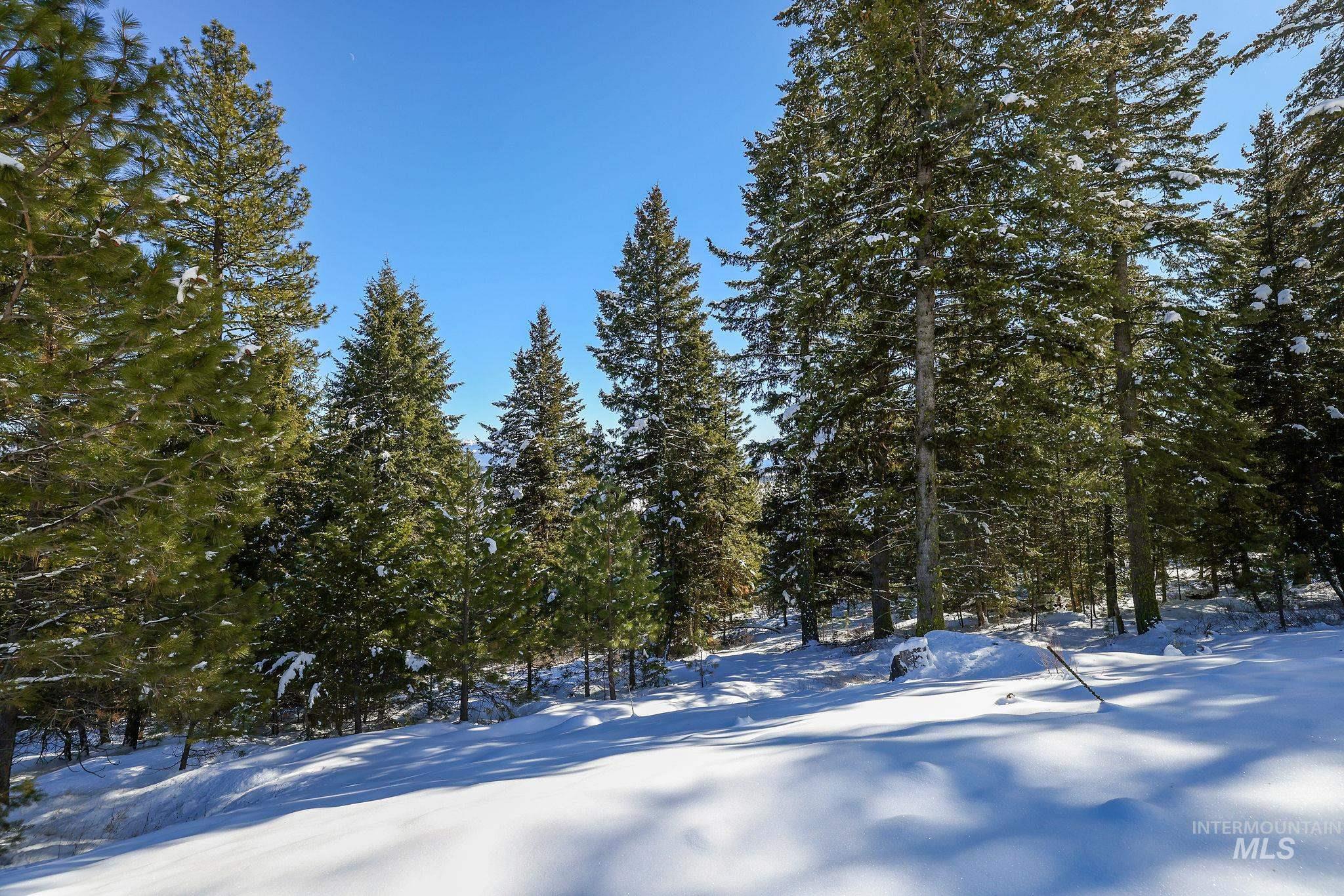 5541 Lupine Lane, McCall, Idaho 83638, Land For Sale, Price $598,000,MLS 98976559