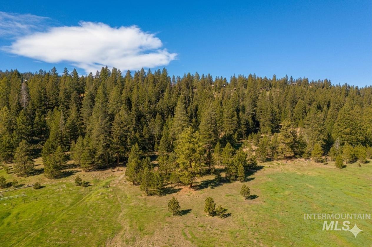 5541 Lupine Lane, McCall, Idaho 83638, Land For Sale, Price $598,000, 98976559