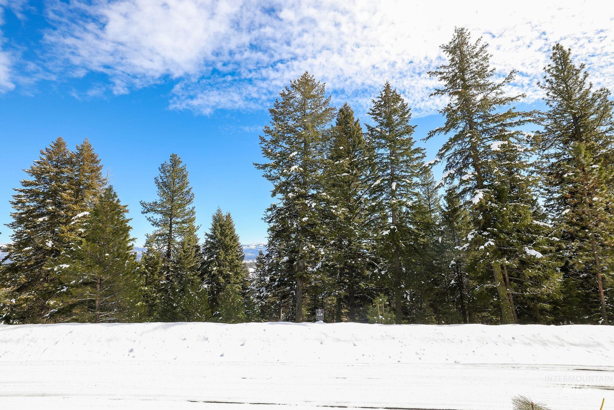 5541 Lupine Lane, McCall, Idaho 83638, Land For Sale, Price $598,000,MLS 98976559