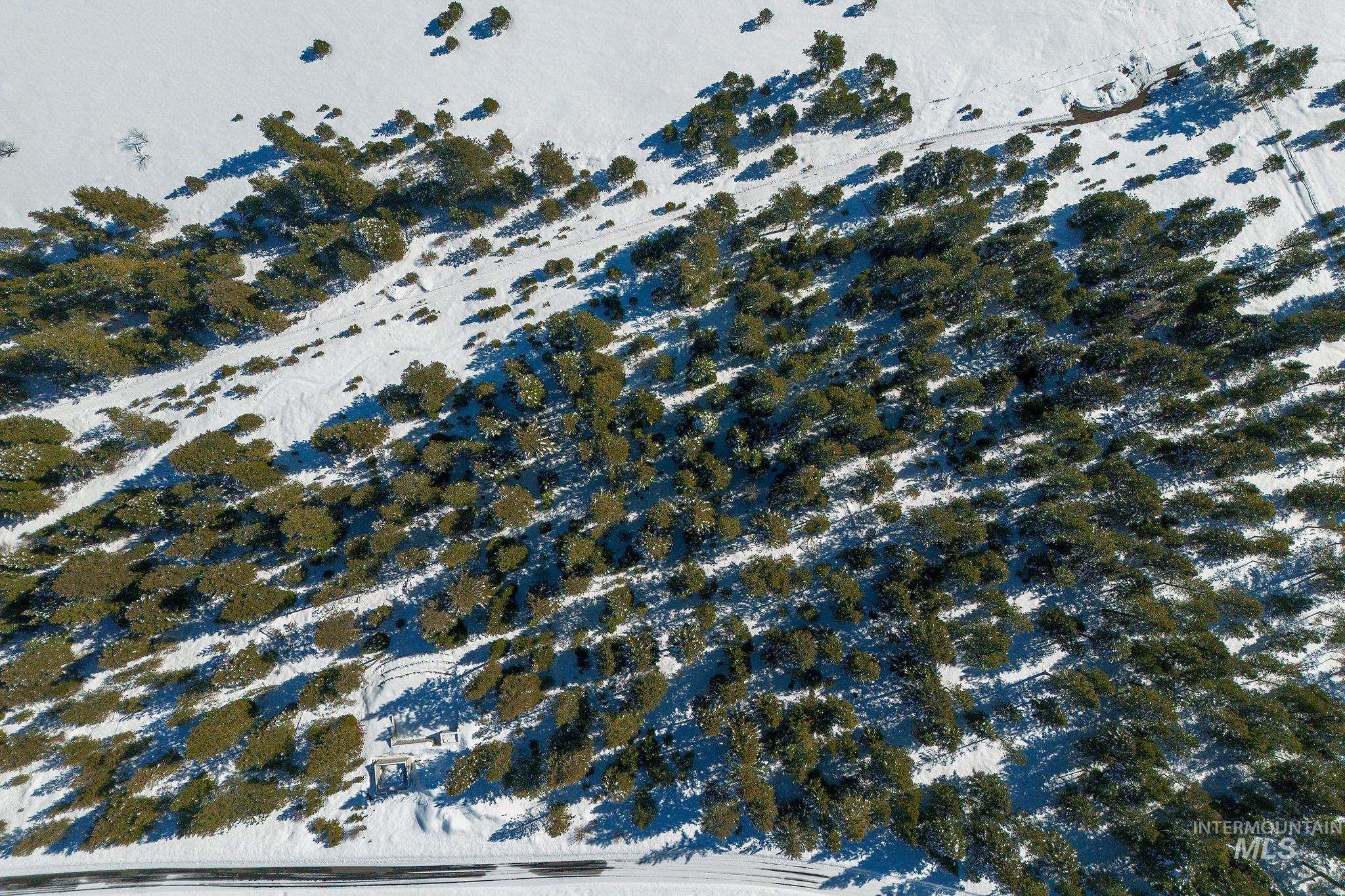 5541 Lupine Lane, McCall, Idaho 83638, Land For Sale, Price $598,000,MLS 98976559