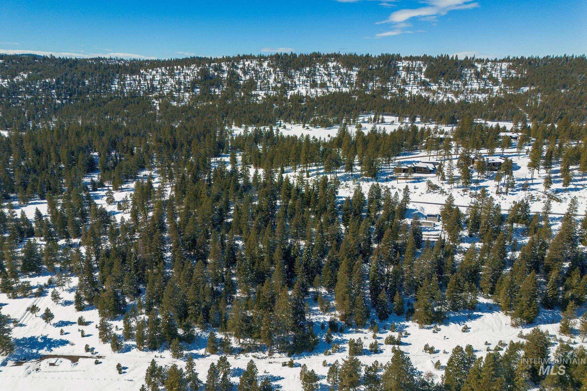 5541 Lupine Lane, McCall, Idaho 83638, Land For Sale, Price $598,000,MLS 98976559