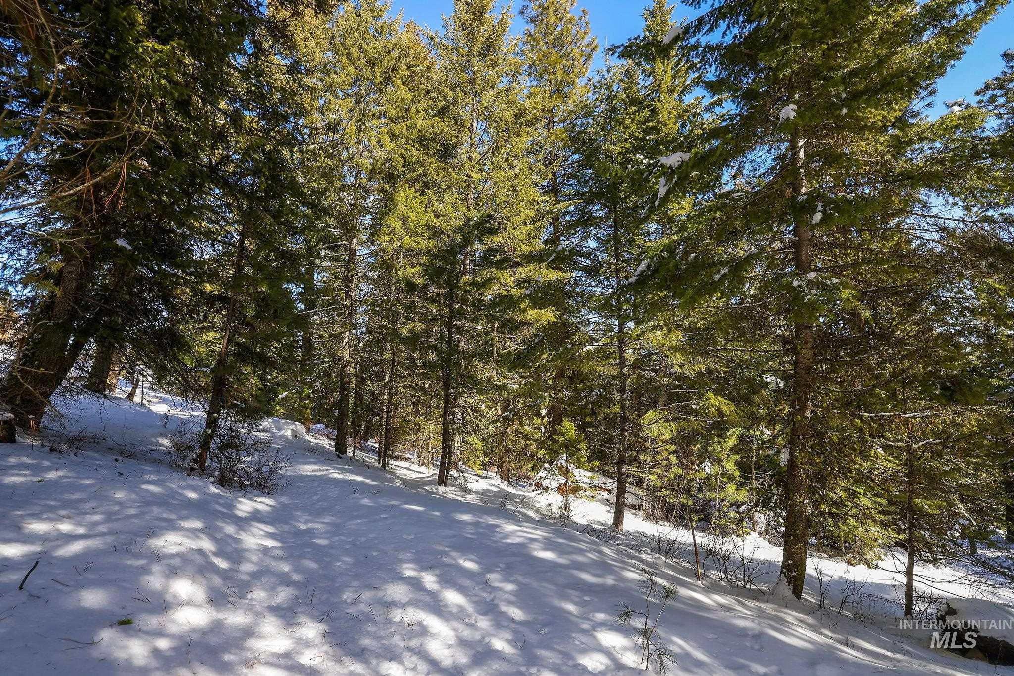 5541 Lupine Lane, McCall, Idaho 83638, Land For Sale, Price $598,000,MLS 98976559