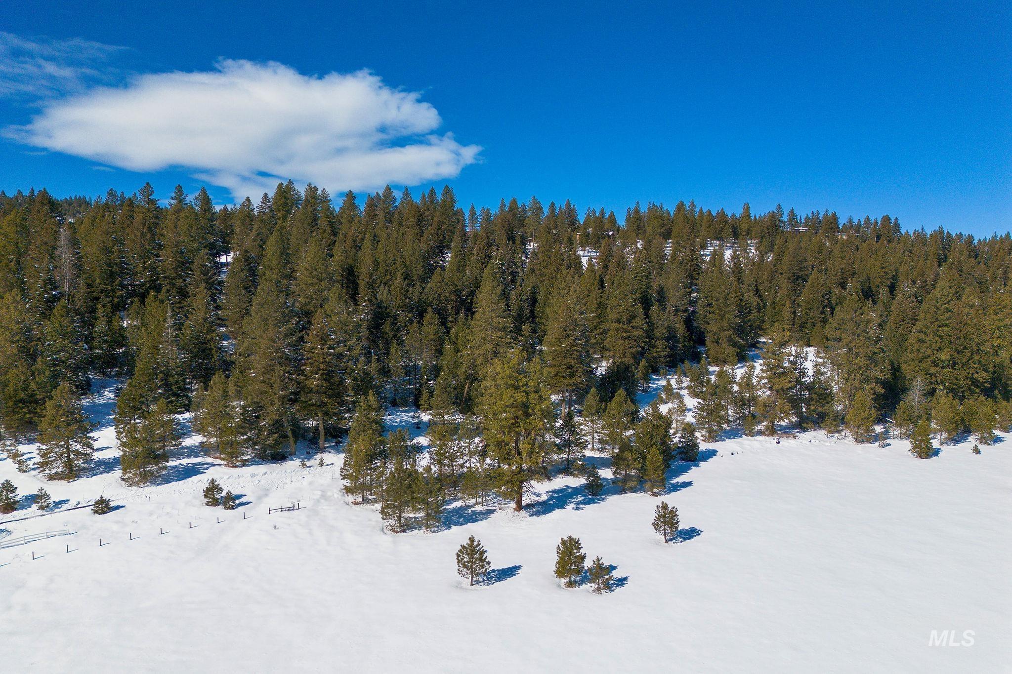 5541 Lupine Lane, McCall, Idaho 83638, Land For Sale, Price $598,000,MLS 98976559
