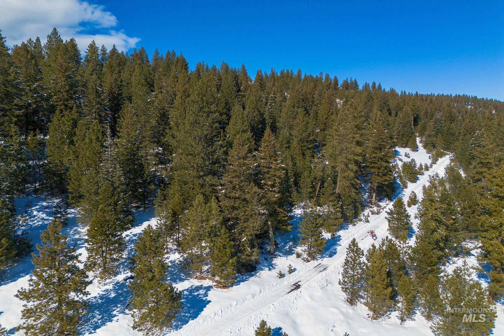 5541 Lupine Lane, McCall, Idaho 83638, Land For Sale, Price $598,000,MLS 98976559