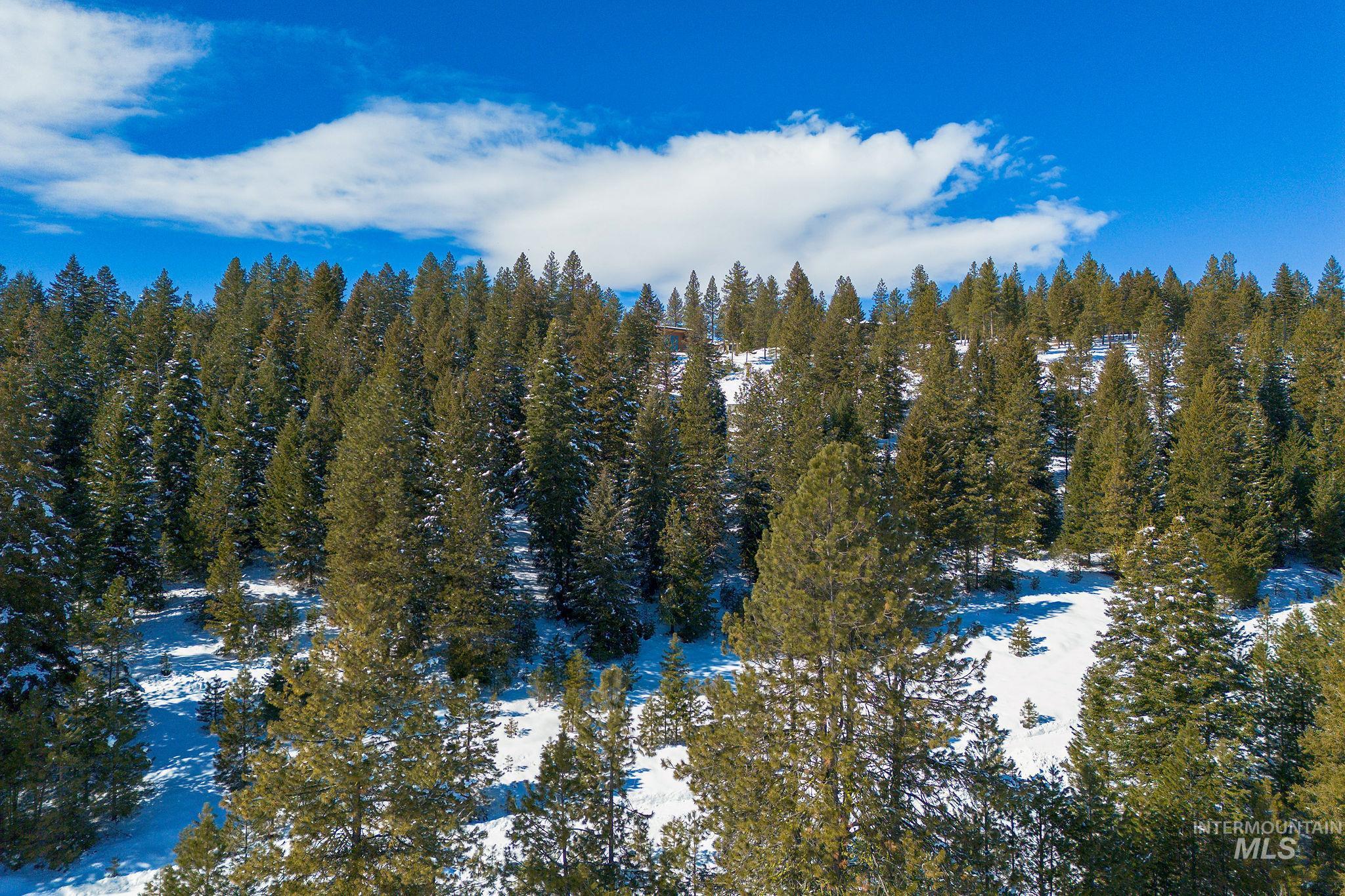 5541 Lupine Lane, McCall, Idaho 83638, Land For Sale, Price $598,000,MLS 98976559