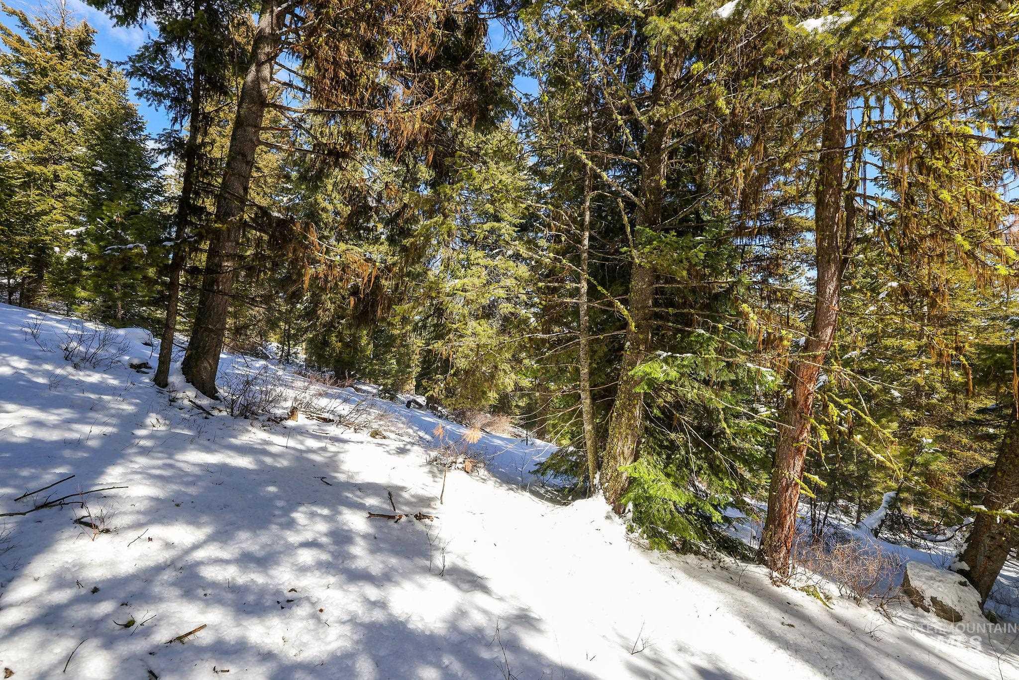 5541 Lupine Lane, McCall, Idaho 83638, Land For Sale, Price $598,000,MLS 98976559