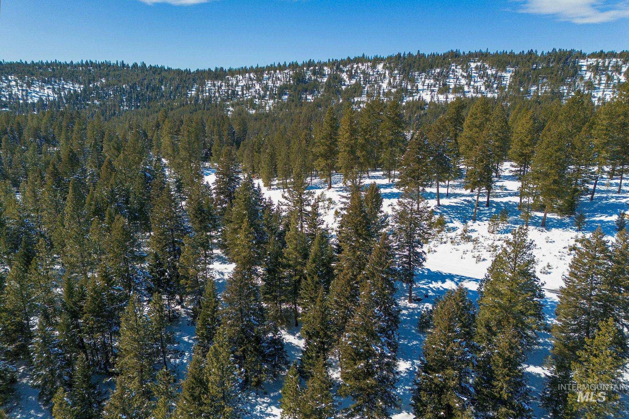 5541 Lupine Lane, McCall, Idaho 83638, Land For Sale, Price $598,000,MLS 98976559