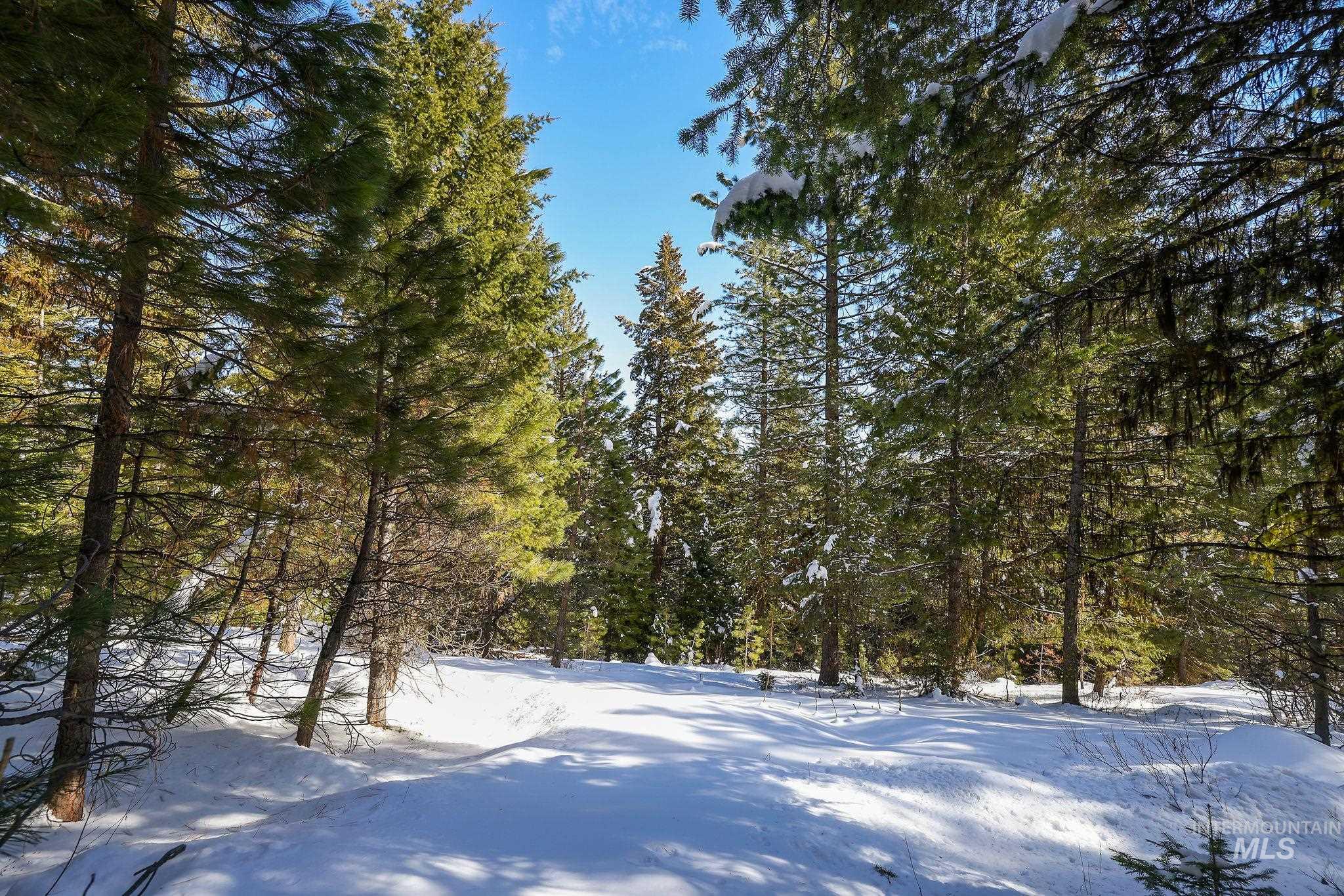 5541 Lupine Lane, McCall, Idaho 83638, Land For Sale, Price $598,000,MLS 98976559