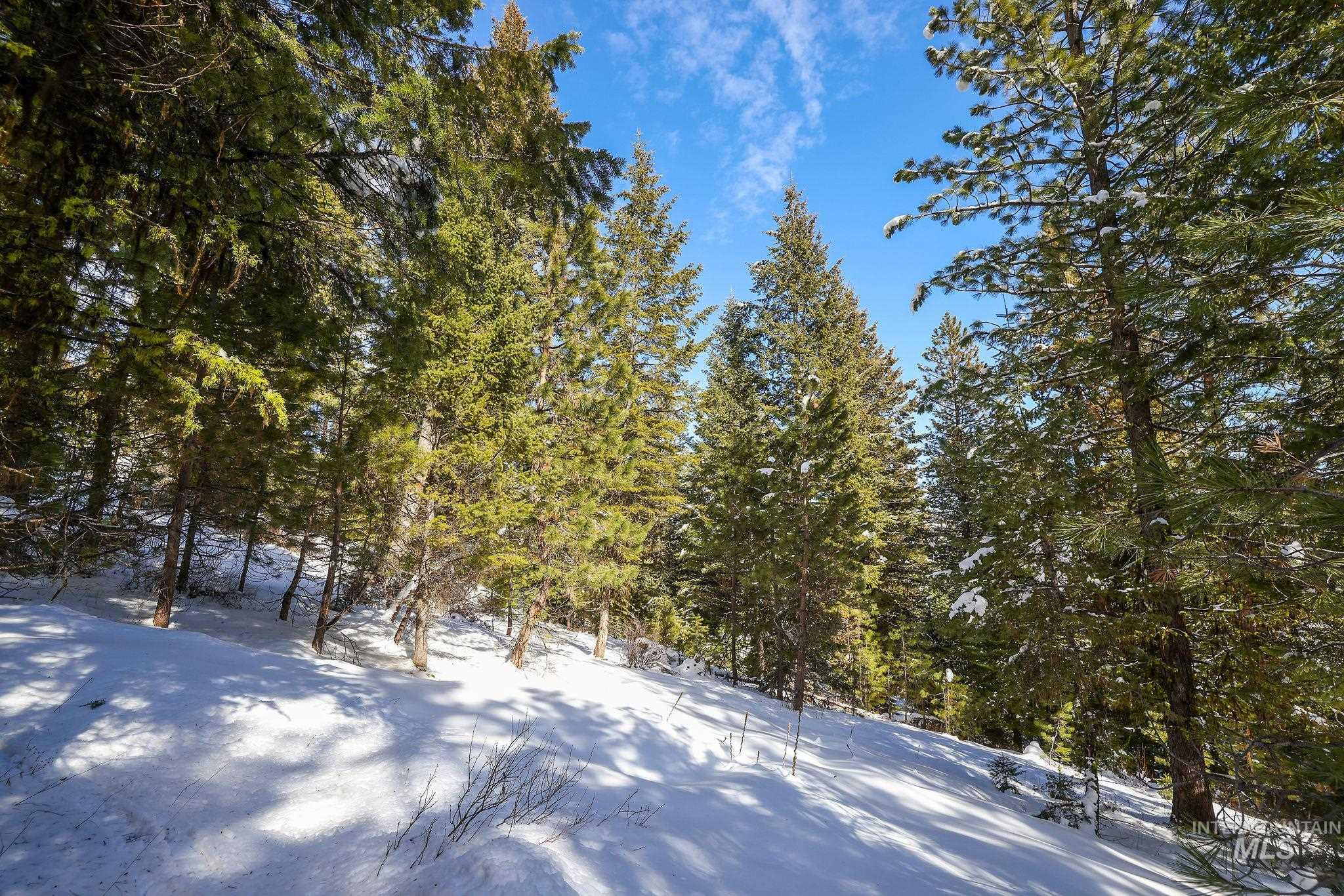5541 Lupine Lane, McCall, Idaho 83638, Land For Sale, Price $598,000,MLS 98976559