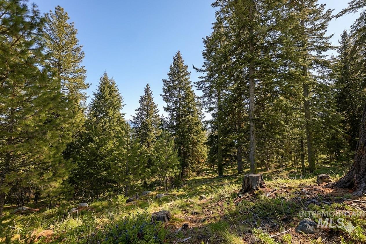 5541 Lupine Lane, McCall, Idaho 83638, Land For Sale, Price $598,000, 98976559