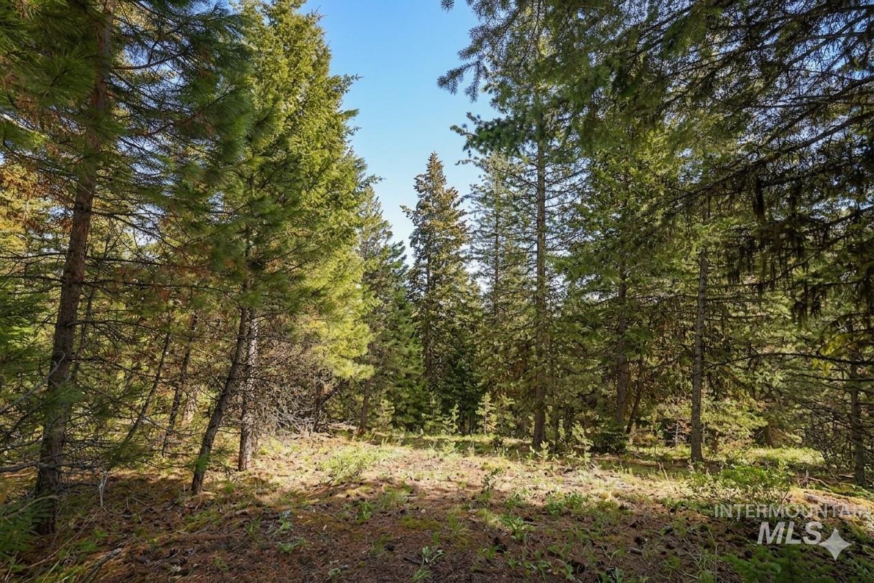 5541 Lupine Lane, McCall, Idaho 83638, Land For Sale, Price $598,000, 98976559