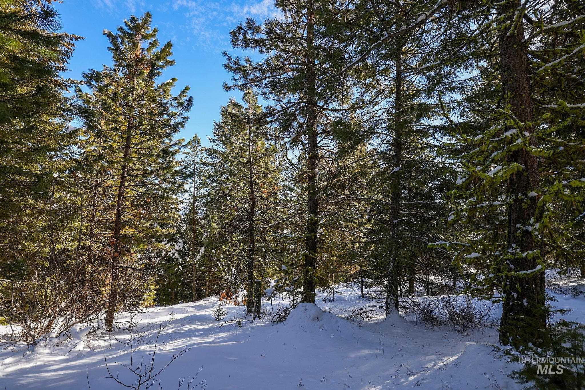 5541 Lupine Lane, McCall, Idaho 83638, Land For Sale, Price $598,000,MLS 98976559