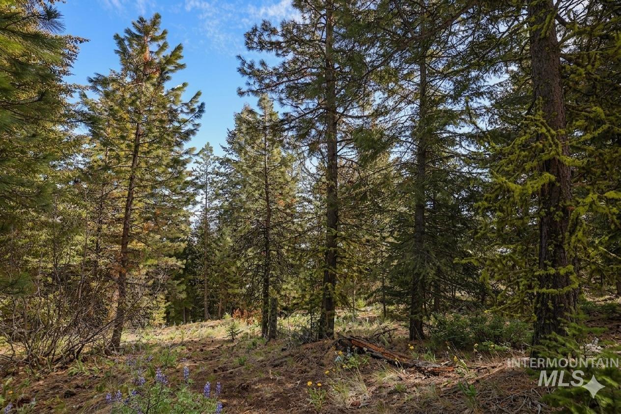 5541 Lupine Lane, McCall, Idaho 83638, Land For Sale, Price $598,000, 98976559