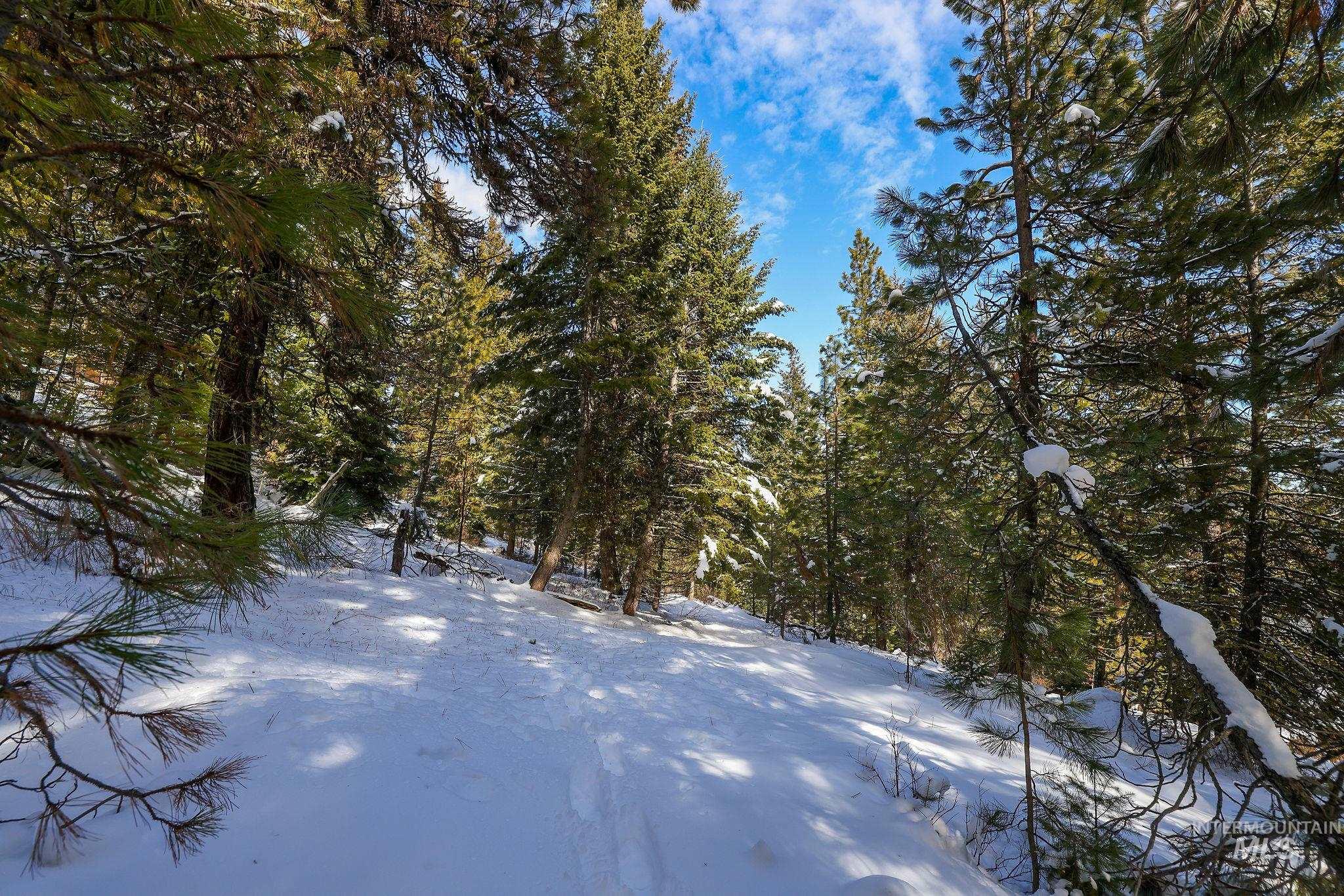 5541 Lupine Lane, McCall, Idaho 83638, Land For Sale, Price $598,000,MLS 98976559