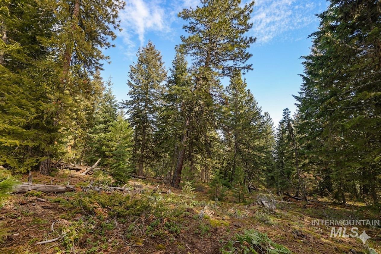 5541 Lupine Lane, McCall, Idaho 83638, Land For Sale, Price $598,000, 98976559
