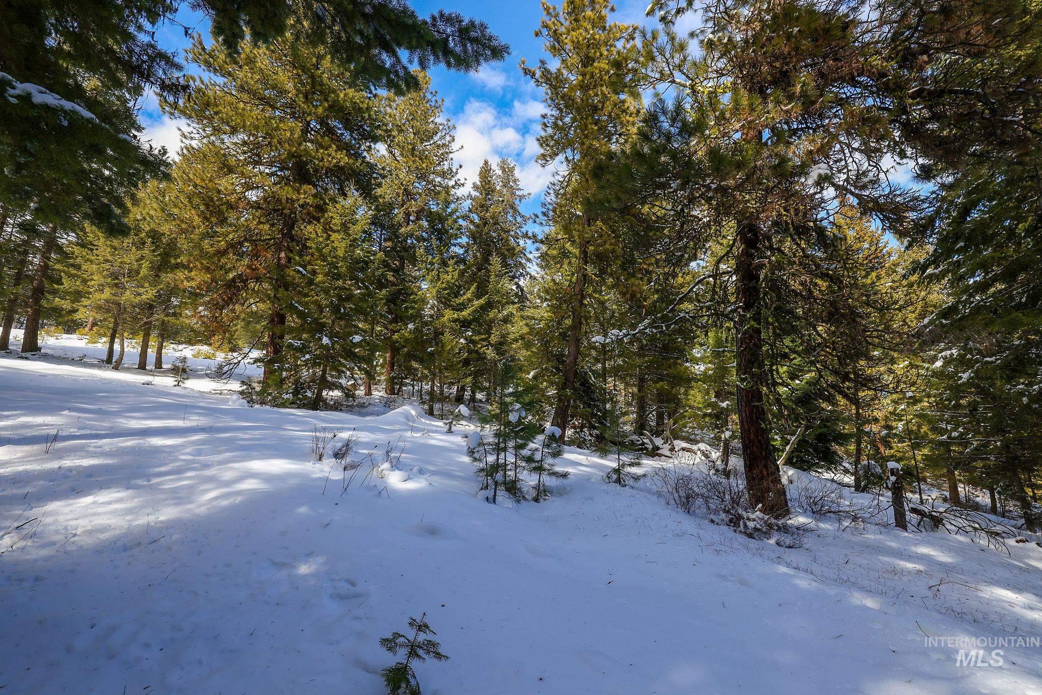 5541 Lupine Lane, McCall, Idaho 83638, Land For Sale, Price $598,000,MLS 98976559