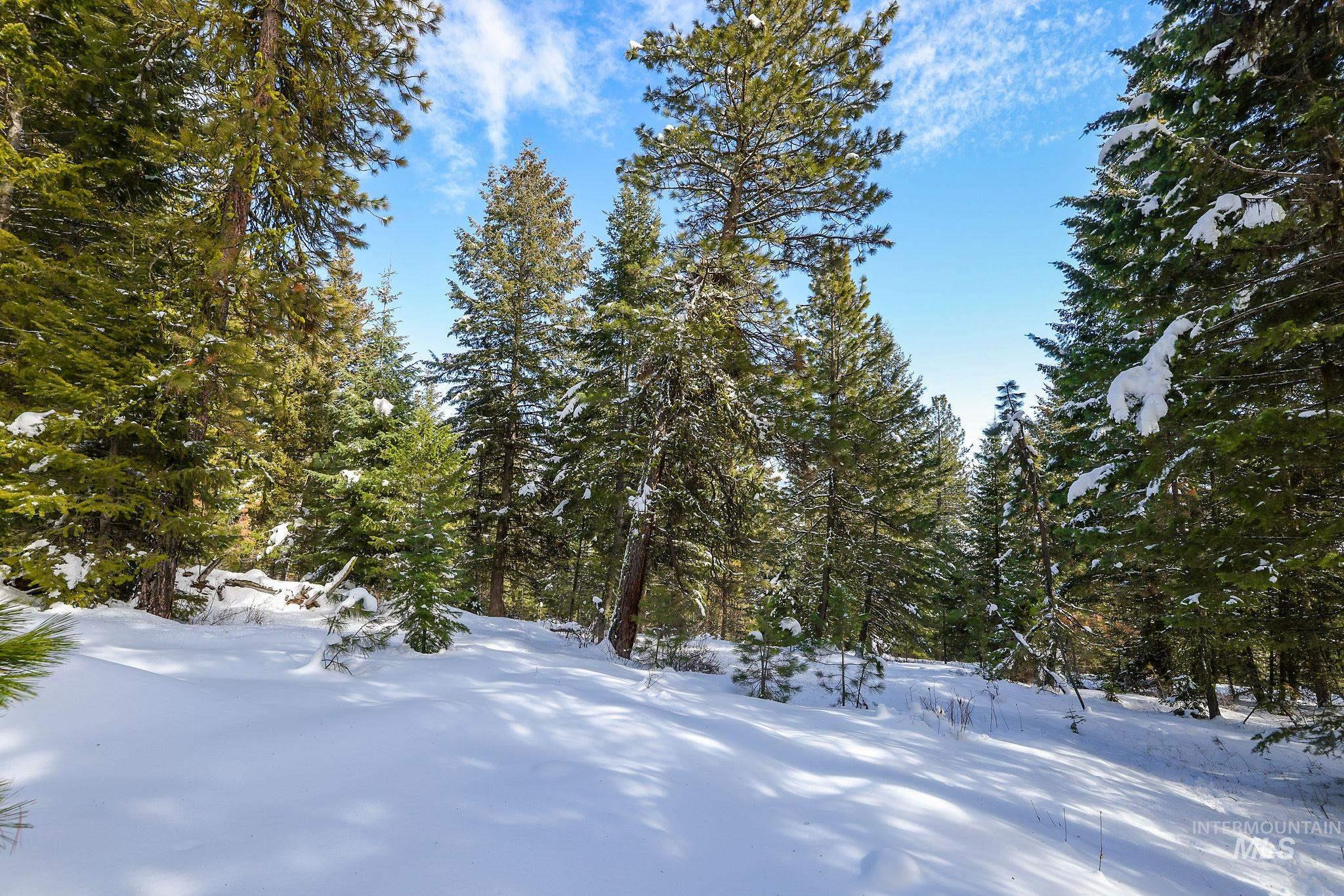 5541 Lupine Lane, McCall, Idaho 83638, Land For Sale, Price $598,000,MLS 98976559