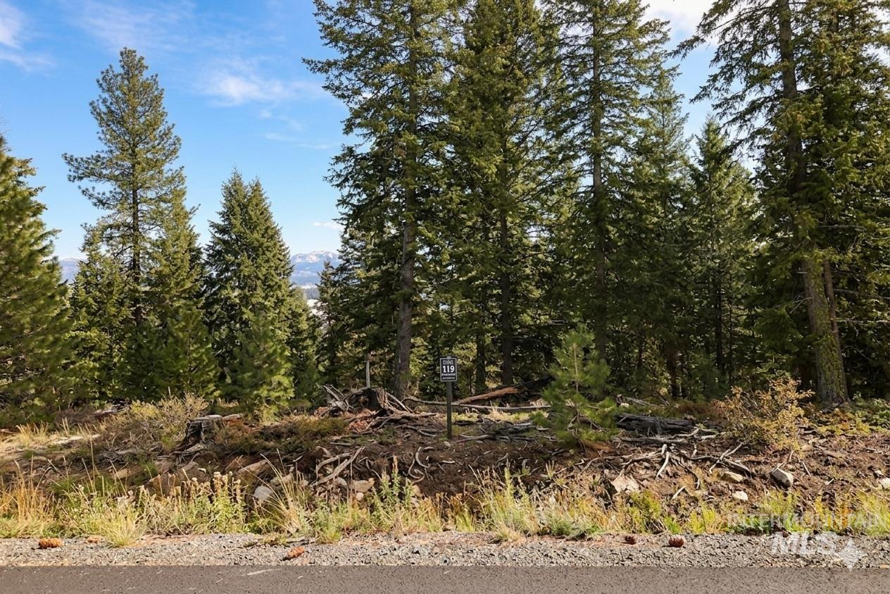 5541 Lupine Lane, McCall, Idaho 83638, Land For Sale, Price $598,000, 98976559