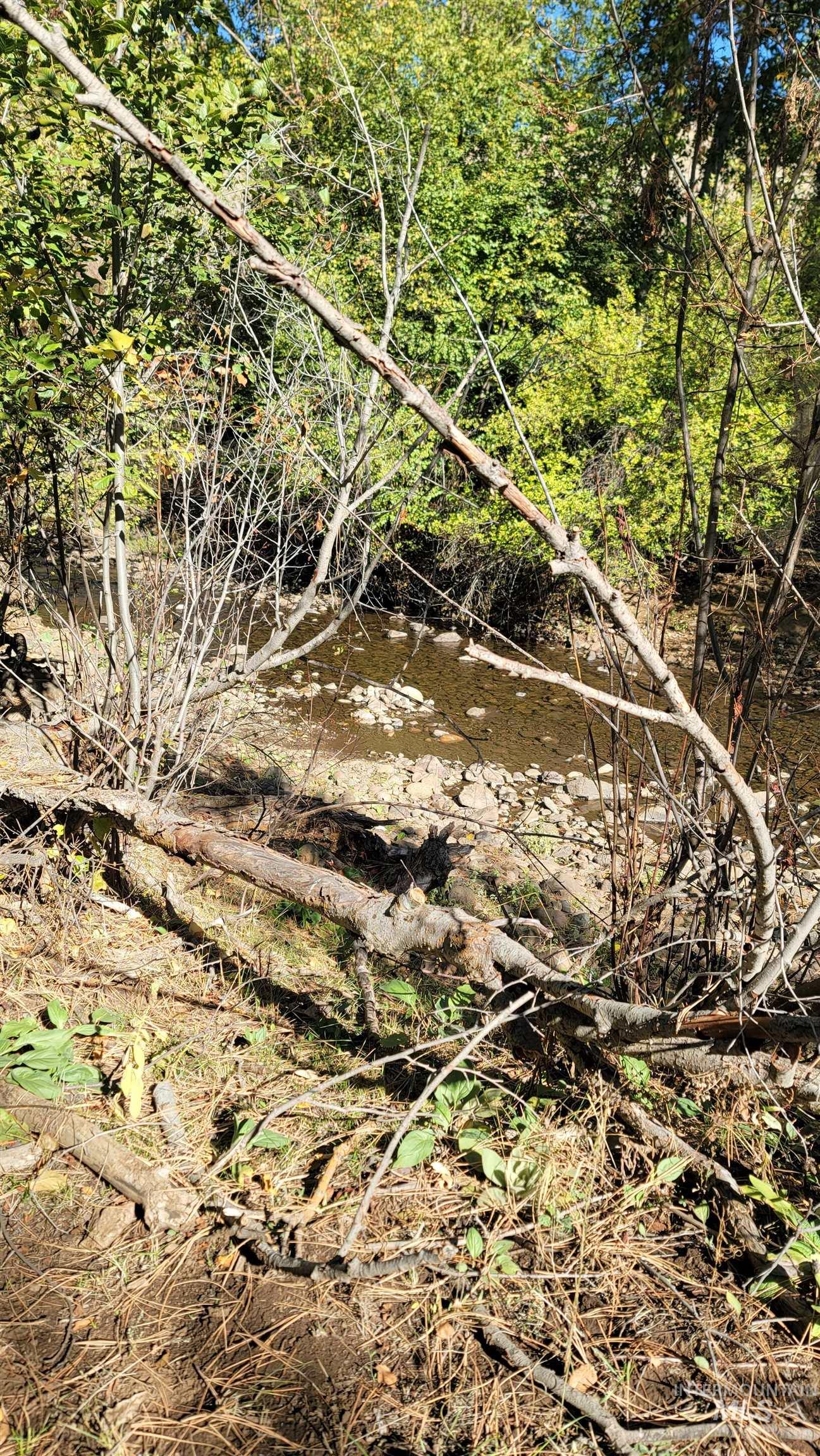 TBD Goodrich Creek Rd., Council, Idaho 83612, Land For Sale, Price $155,000,MLS 98976586