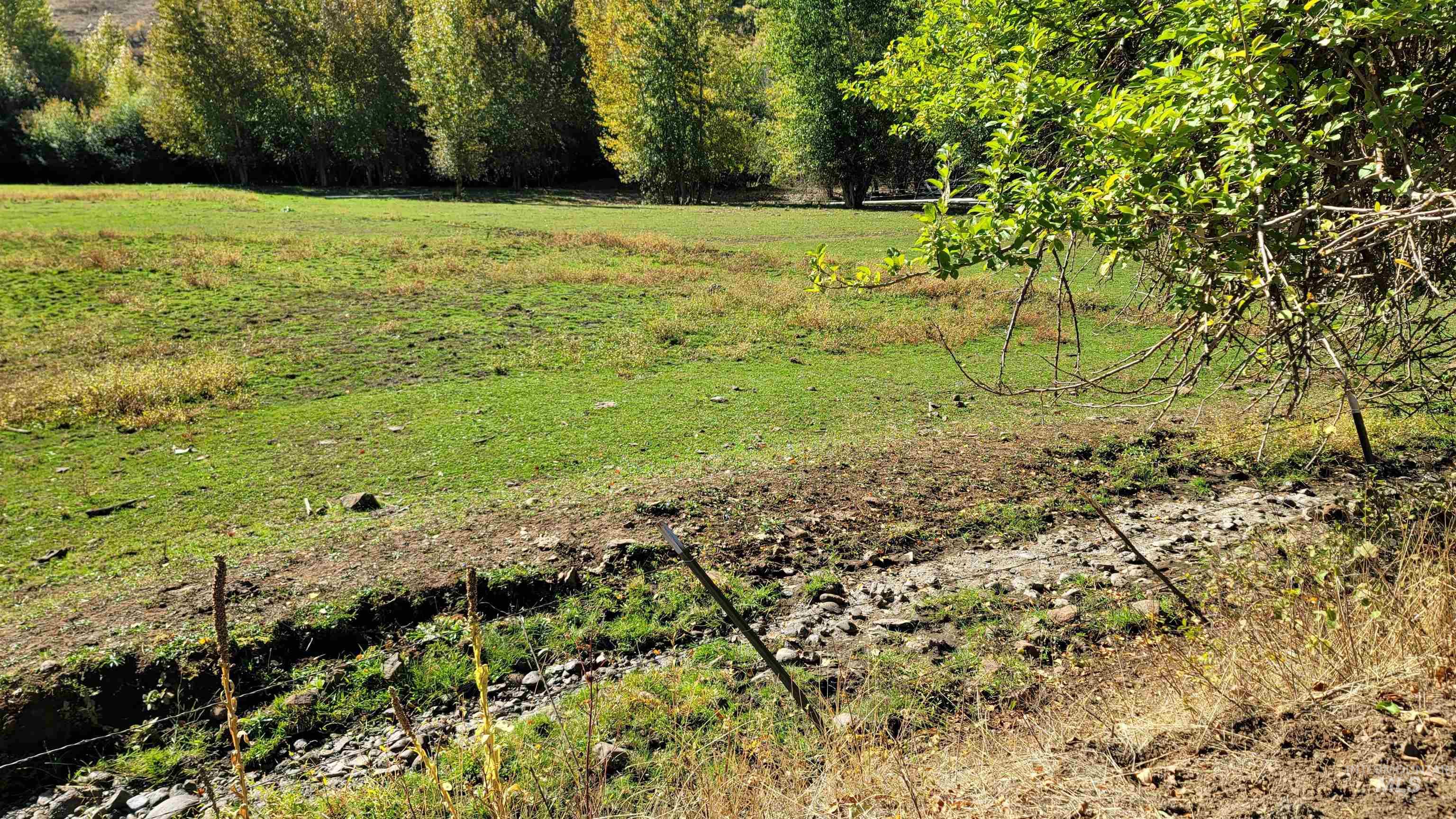 TBD Goodrich Creek Rd., Council, Idaho 83612, Land For Sale, Price $155,000,MLS 98976586