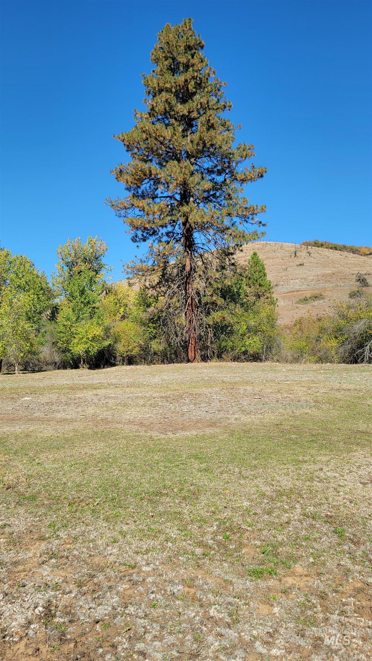 TBD Goodrich Creek Rd., Council, Idaho 83612, Land For Sale, Price $155,000,MLS 98976586
