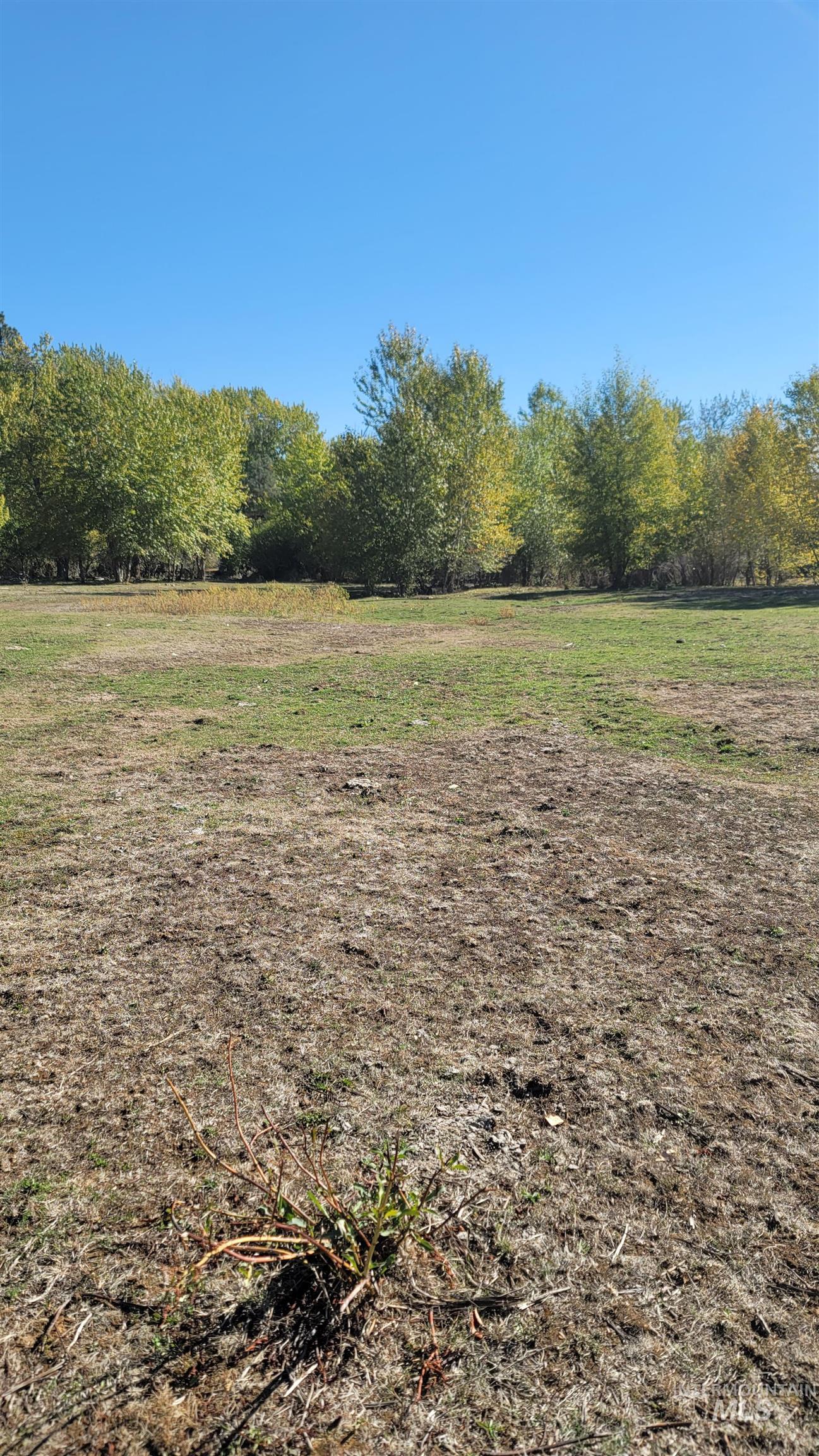 TBD Goodrich Creek Rd., Council, Idaho 83612, Land For Sale, Price $155,000,MLS 98976586