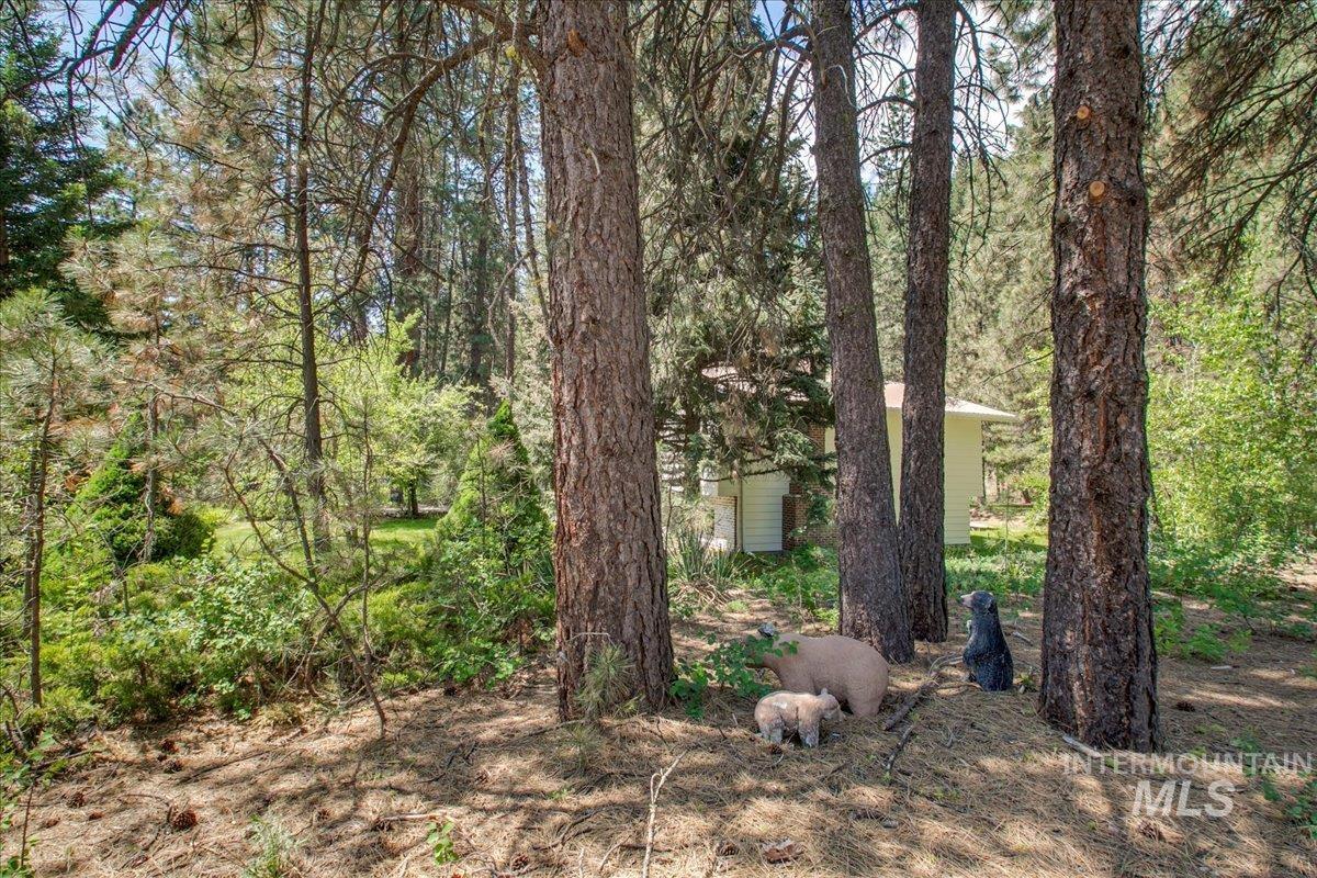 14 Cougar Ln, Boise, Idaho 83716, 4 Bedrooms, 2.5 Bathrooms, Residential For Sale, Price $849,000, 98976596