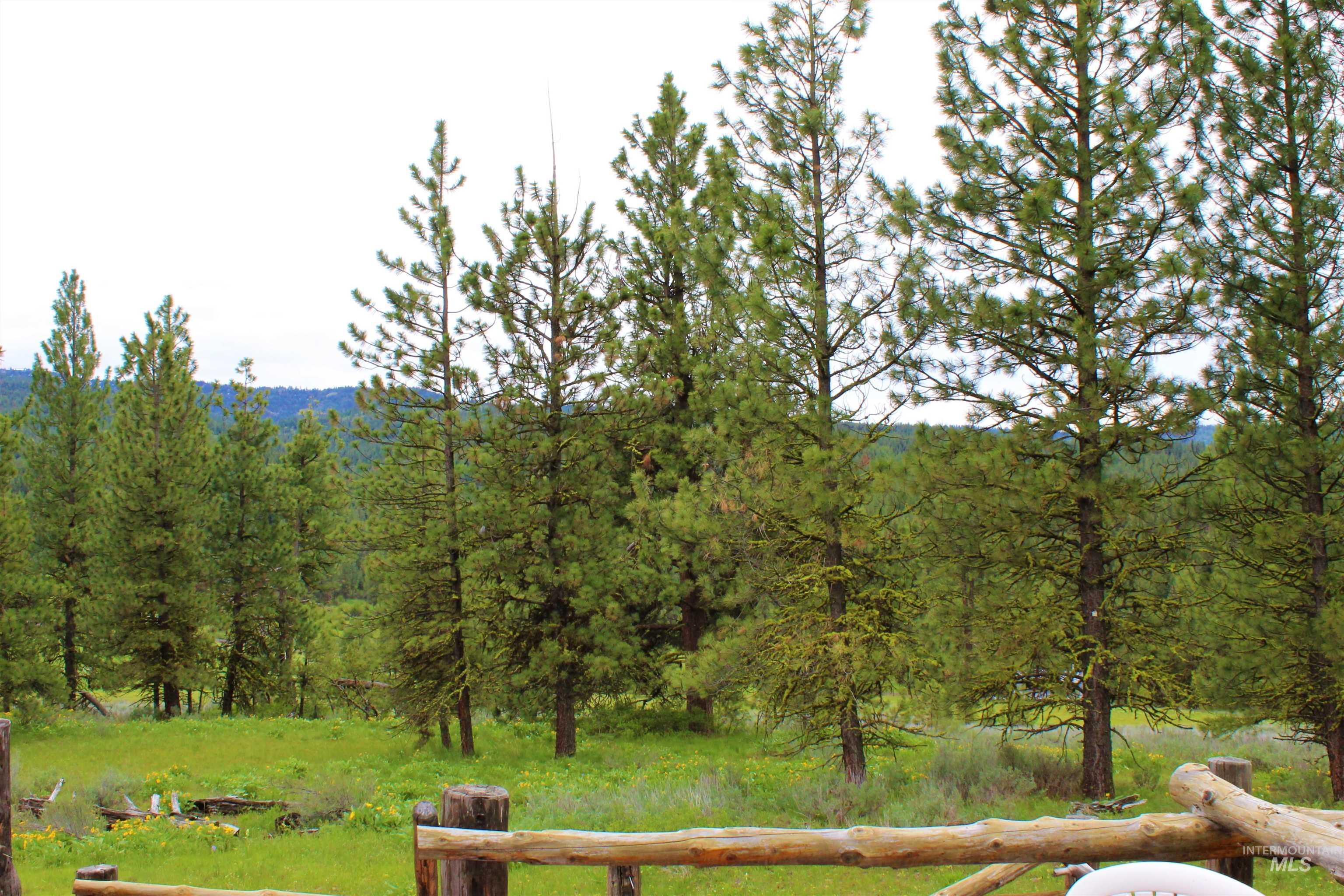 3000 Fish Lake Road, New Meadows, Idaho 83654, 1 Bedroom, 1 Bathroom, Residential For Sale, Price $2,485,000, 98976607