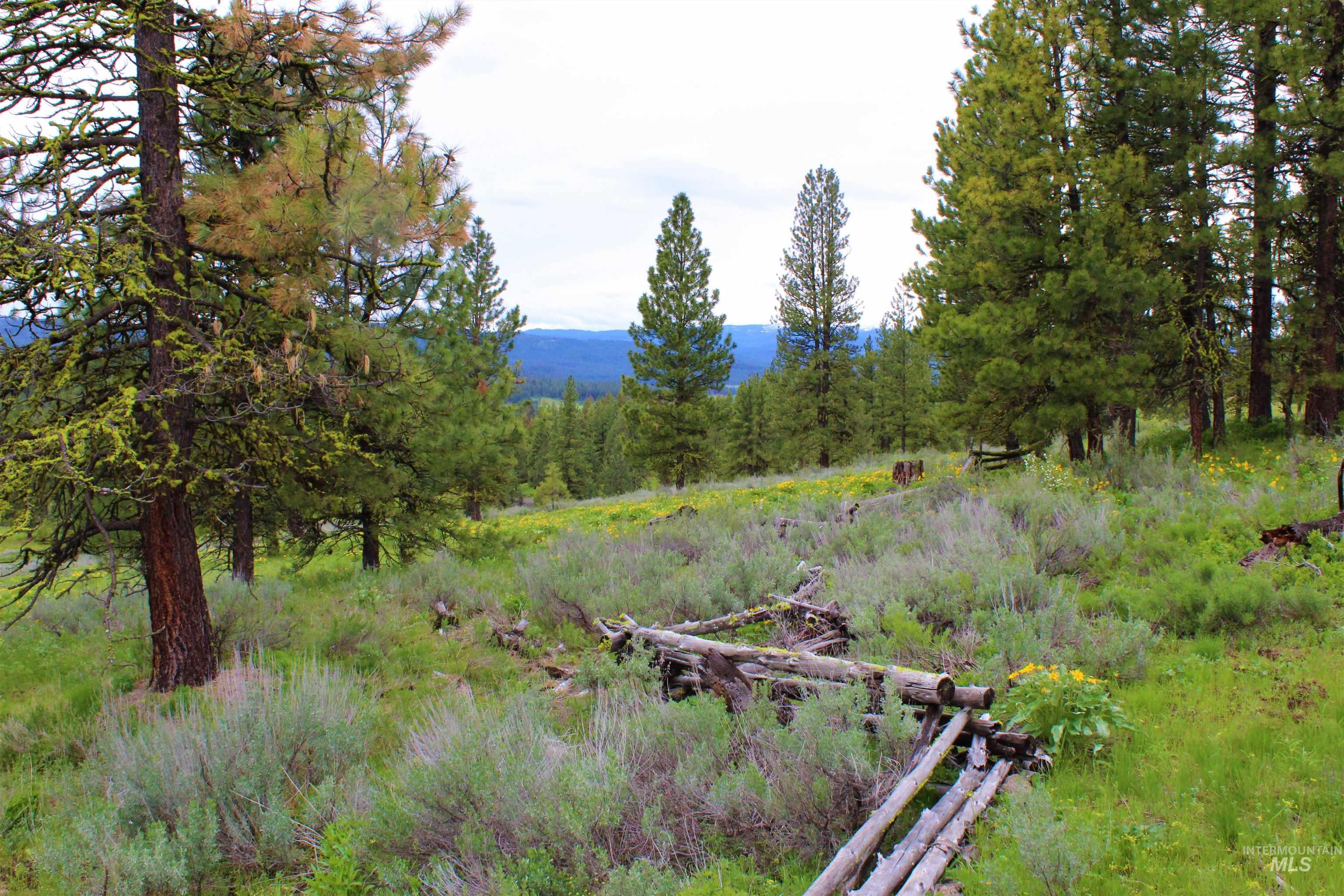 3000 Fish Lake Road, New Meadows, Idaho 83654, 1 Bedroom, 1 Bathroom, Residential For Sale, Price $2,485,000, 98976607