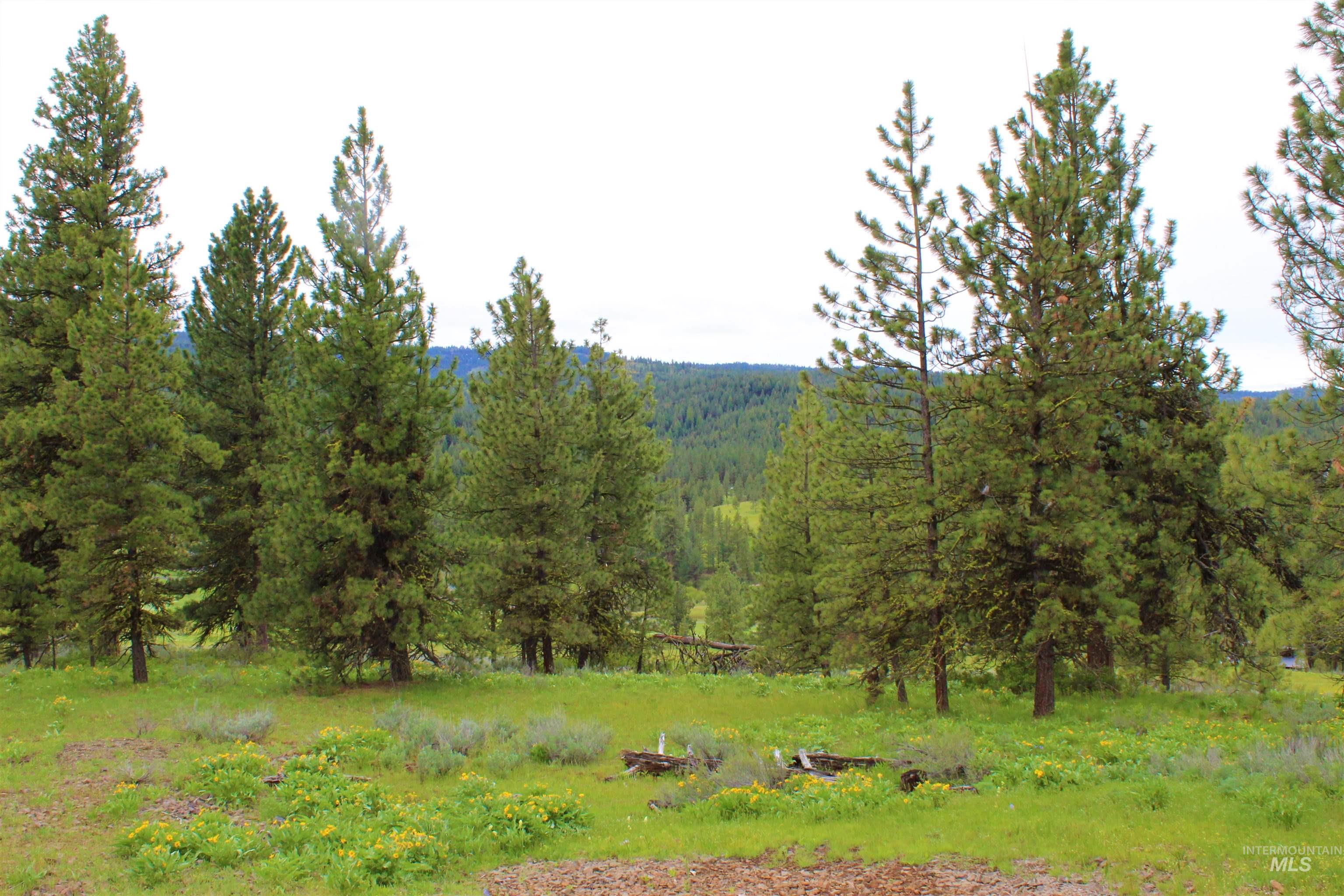 3000 Fish Lake Road, New Meadows, Idaho 83654, 1 Bedroom, 1 Bathroom, Residential For Sale, Price $2,485,000, 98976607