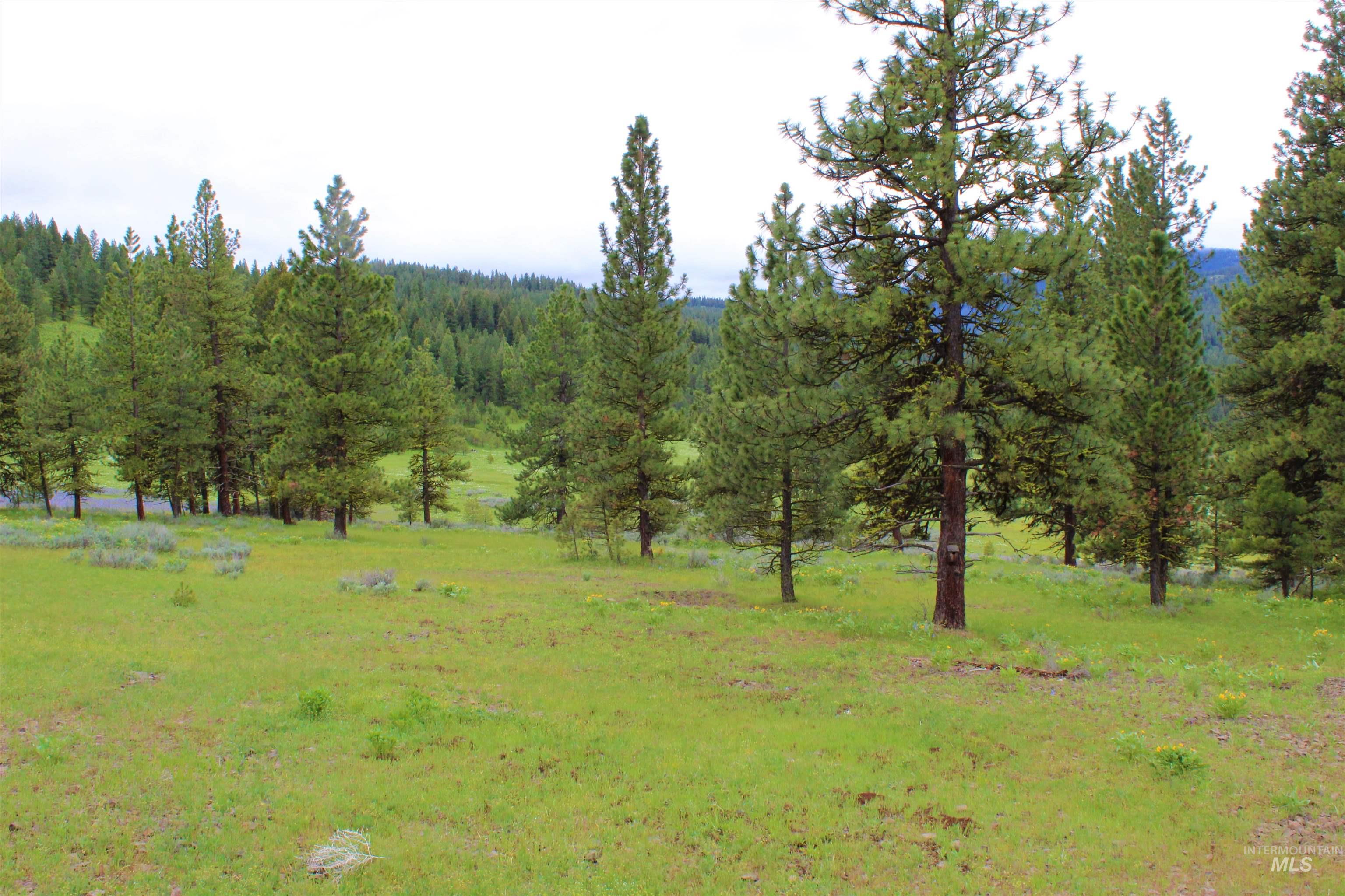 3000 Fish Lake Road, New Meadows, Idaho 83654, 1 Bedroom, 1 Bathroom, Residential For Sale, Price $2,485,000, 98976607