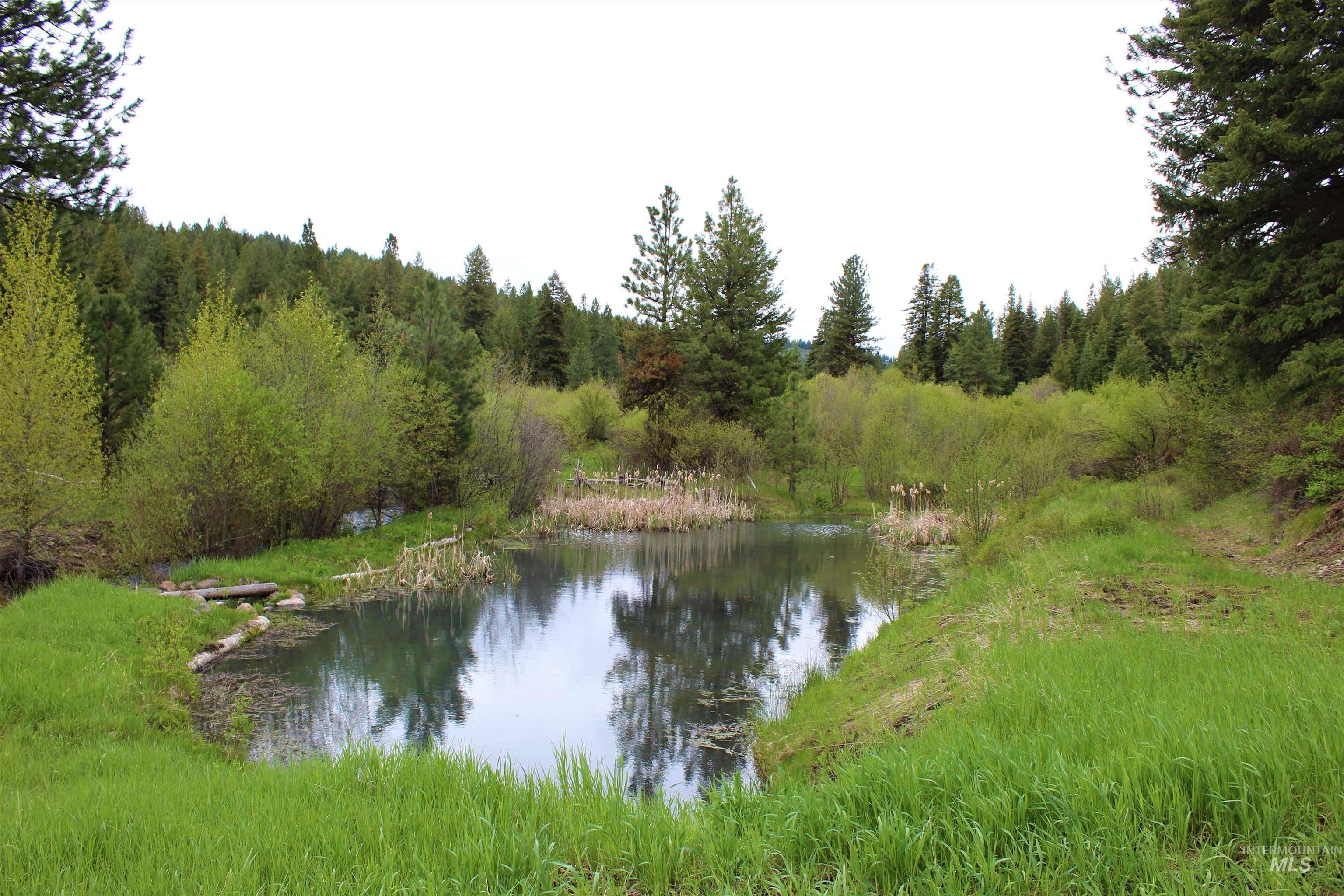 2950 Fish Lake Road, New Meadows, Idaho 83654, 1 Bedroom, 1 Bathroom, Residential For Sale, Price $2,085,000, 98976613